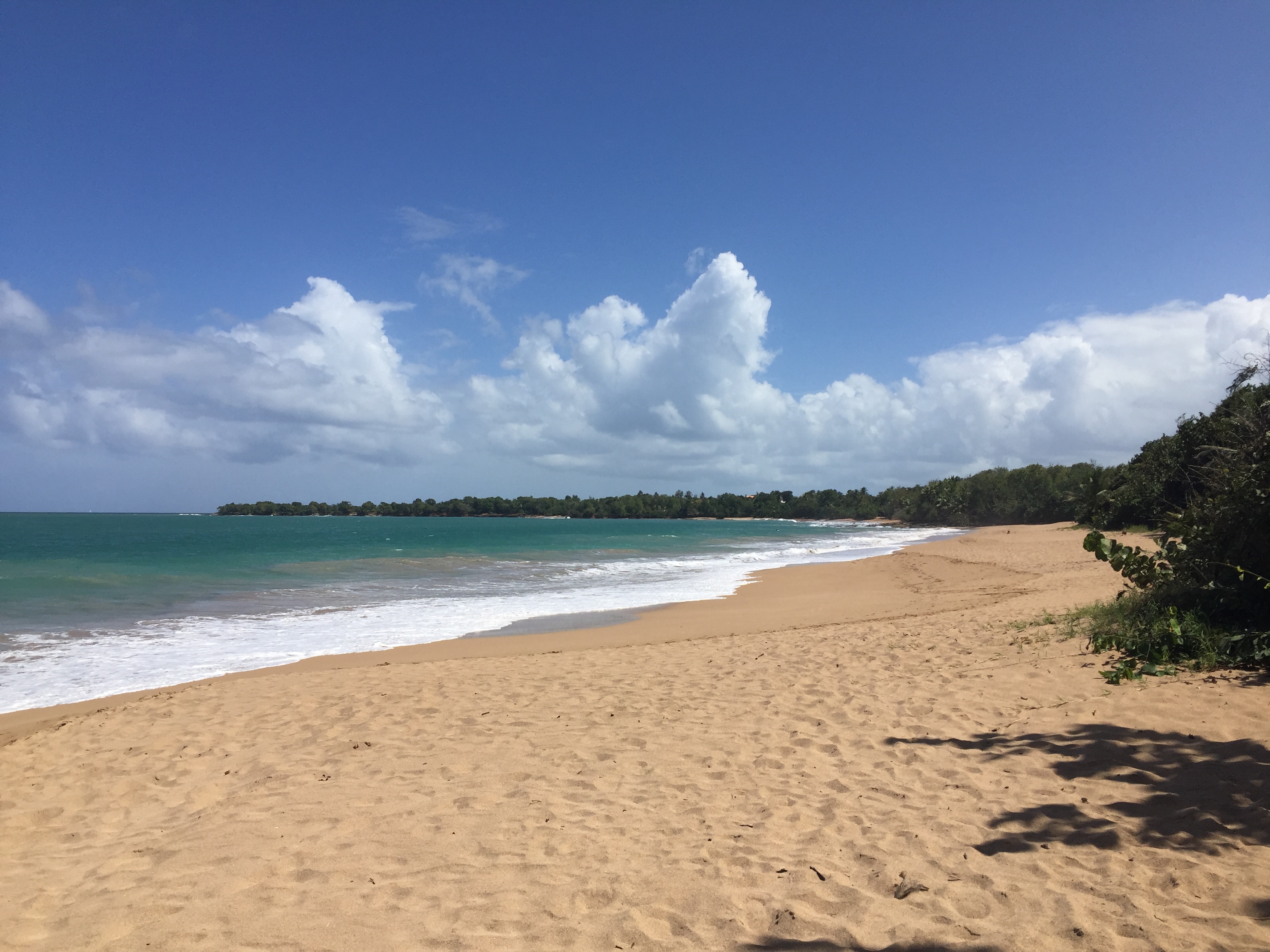 รูปถ่าย กวาเดอลูป(Guadeloupe) เดแอ(Deshaies) 2021-02 3