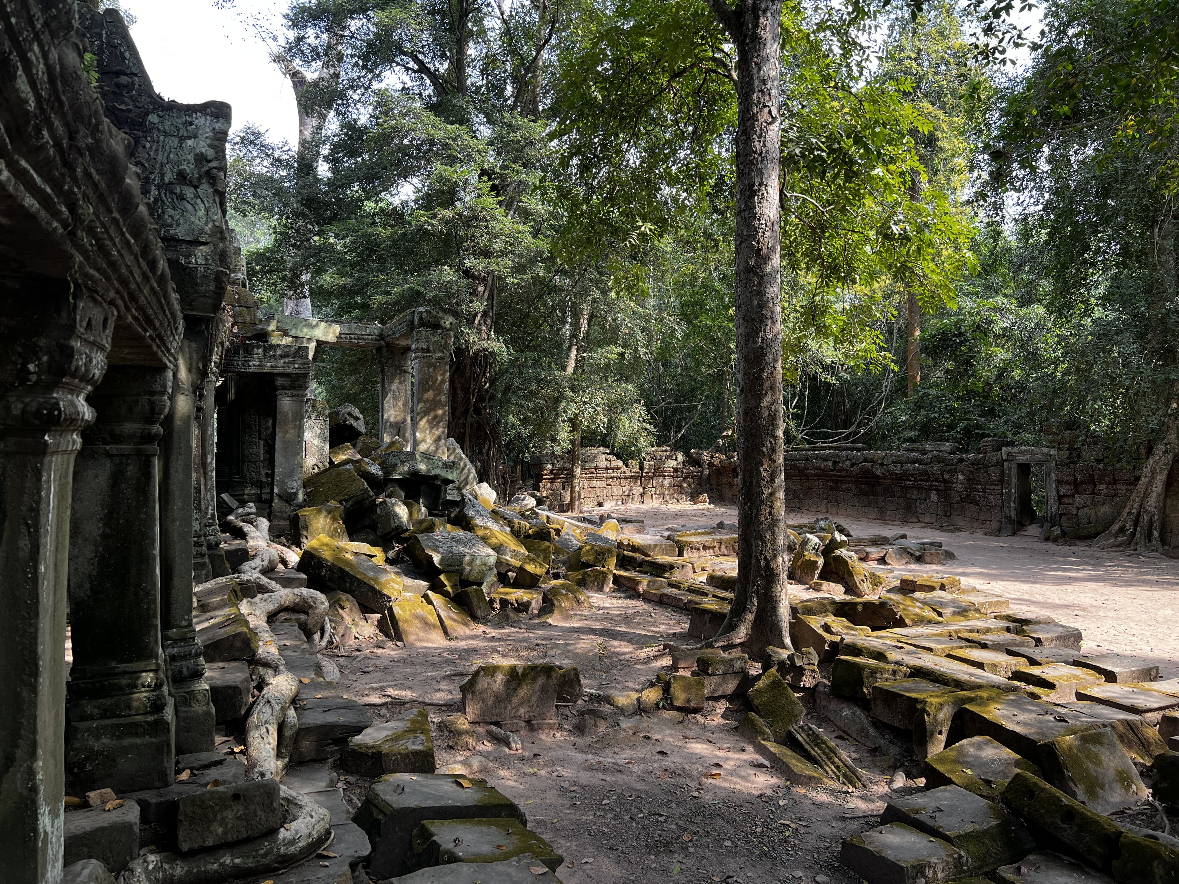 รูปถ่าย กัมพูชา(Cambodia) เสียมราฐ(Siem Reap) ปราสาทตาพรหม(Ta Prohm) 2023-01 149
