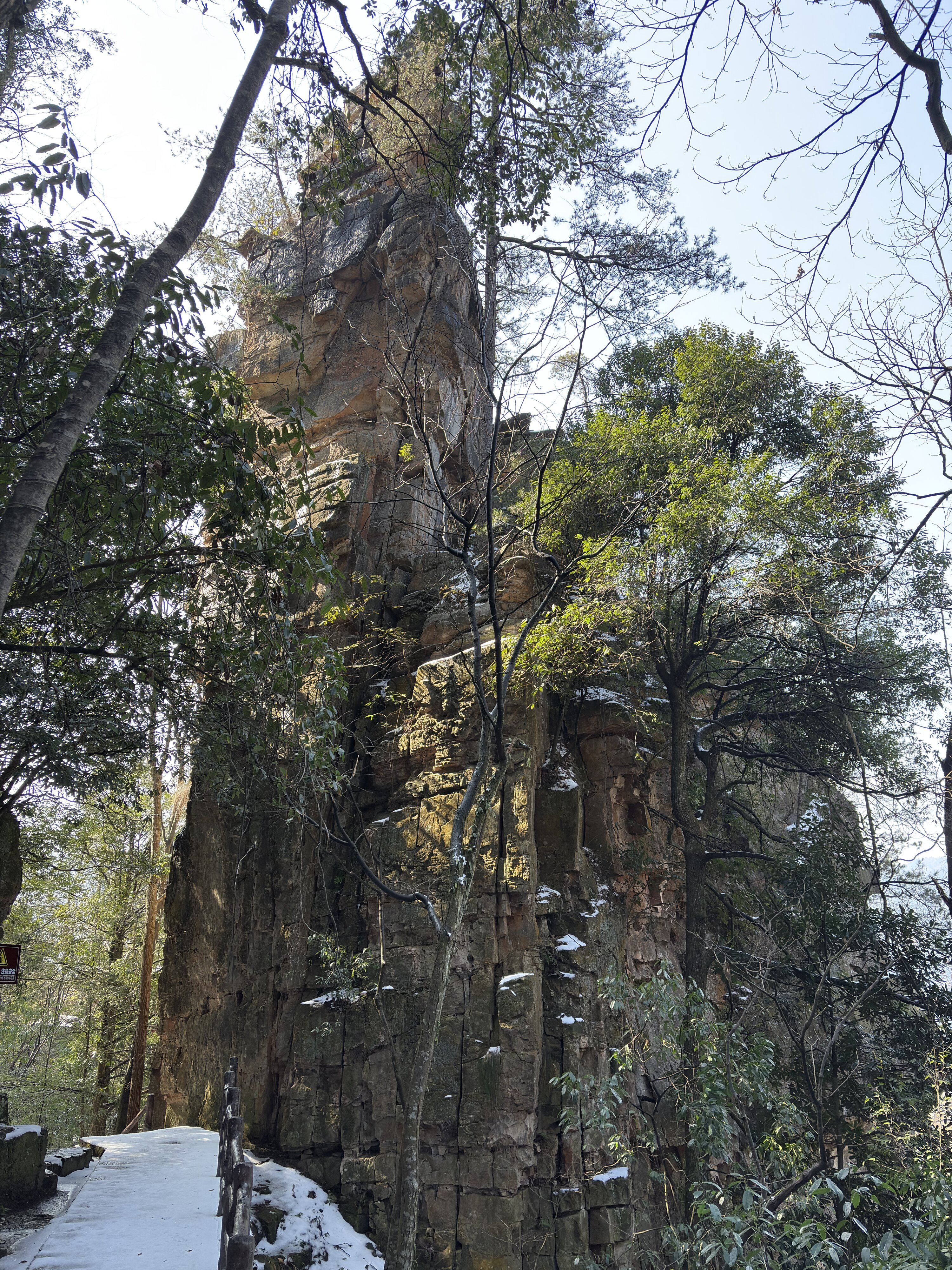 รูปถ่าย จีน(China) จางเจียเจี้ย(Zhangjiajie) ภูเขาเทียนจื่อ(Tianzi Mountain) 2026-01 70