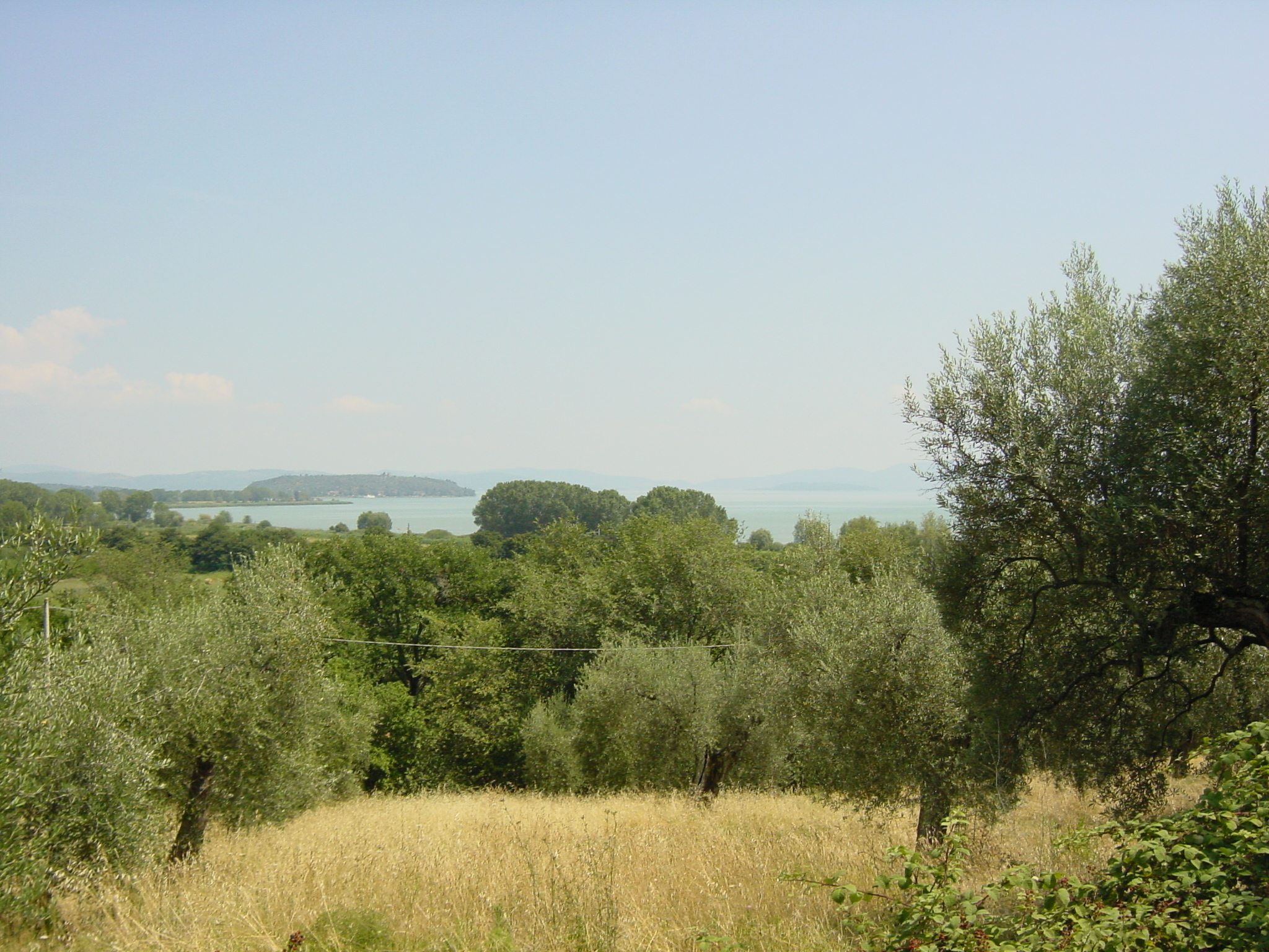 รูปถ่าย อิตาลี(Italy) อัสสิสิ(Assisi) 2002-07 95
