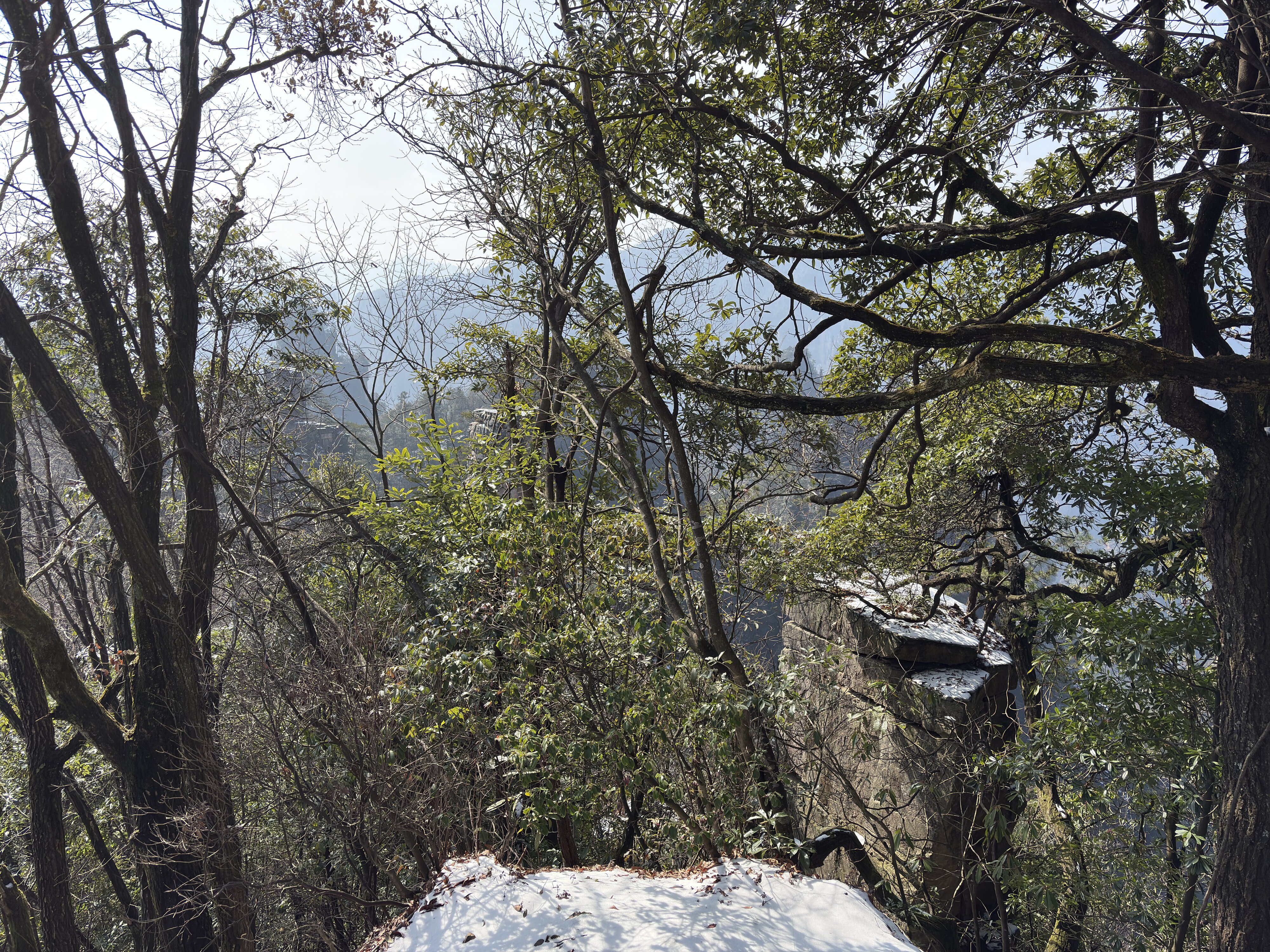 รูปถ่าย จีน(China) จางเจียเจี้ย(Zhangjiajie) ภูเขาเทียนจื่อ(Tianzi Mountain) 2026-01 268