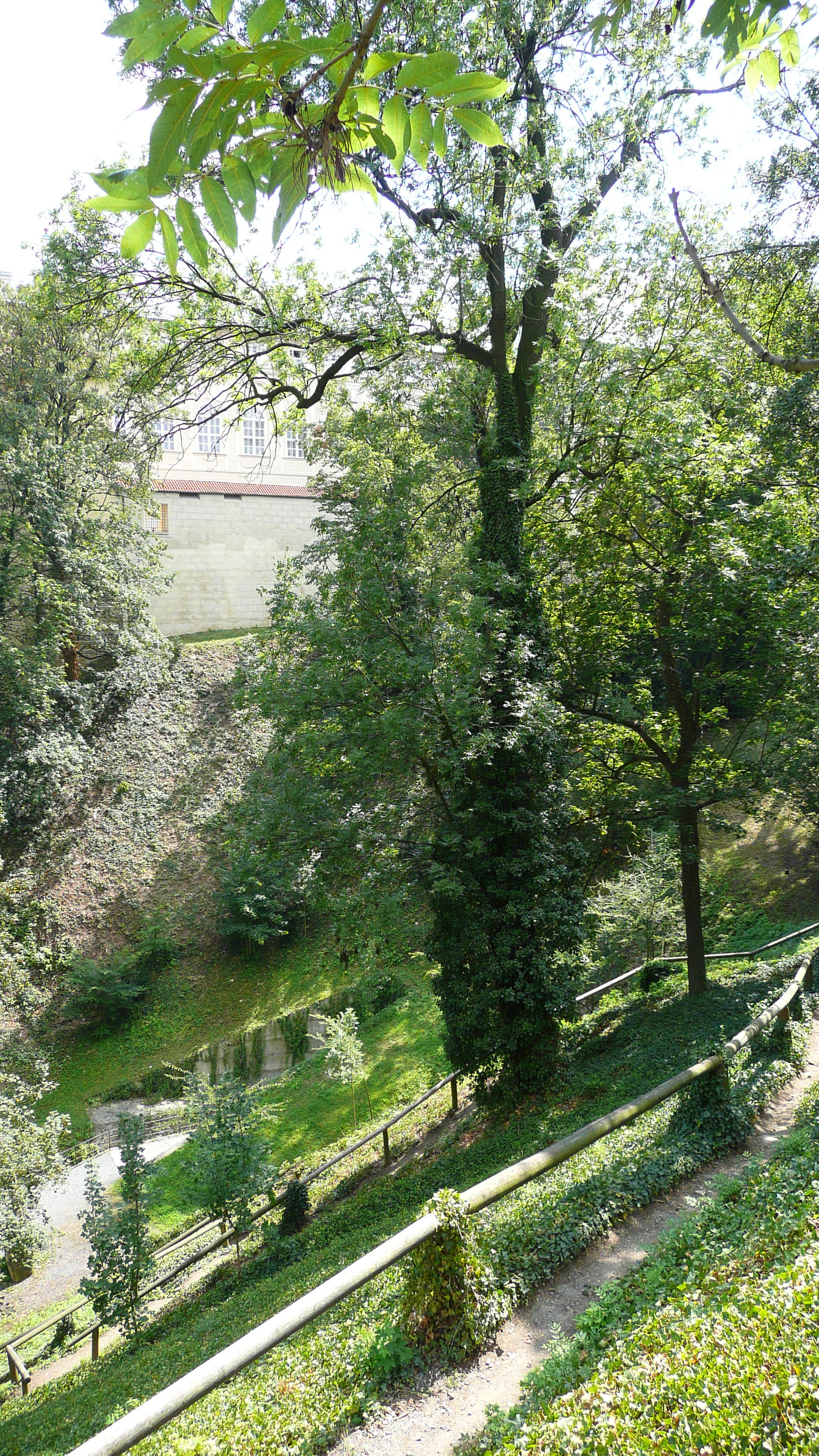 รูปถ่าย สาธารณรัฐเช็ก(Czech Republic) ปราก(Prague) รอบปราสาทปราก(Around Prague Castle) 2007-07 128