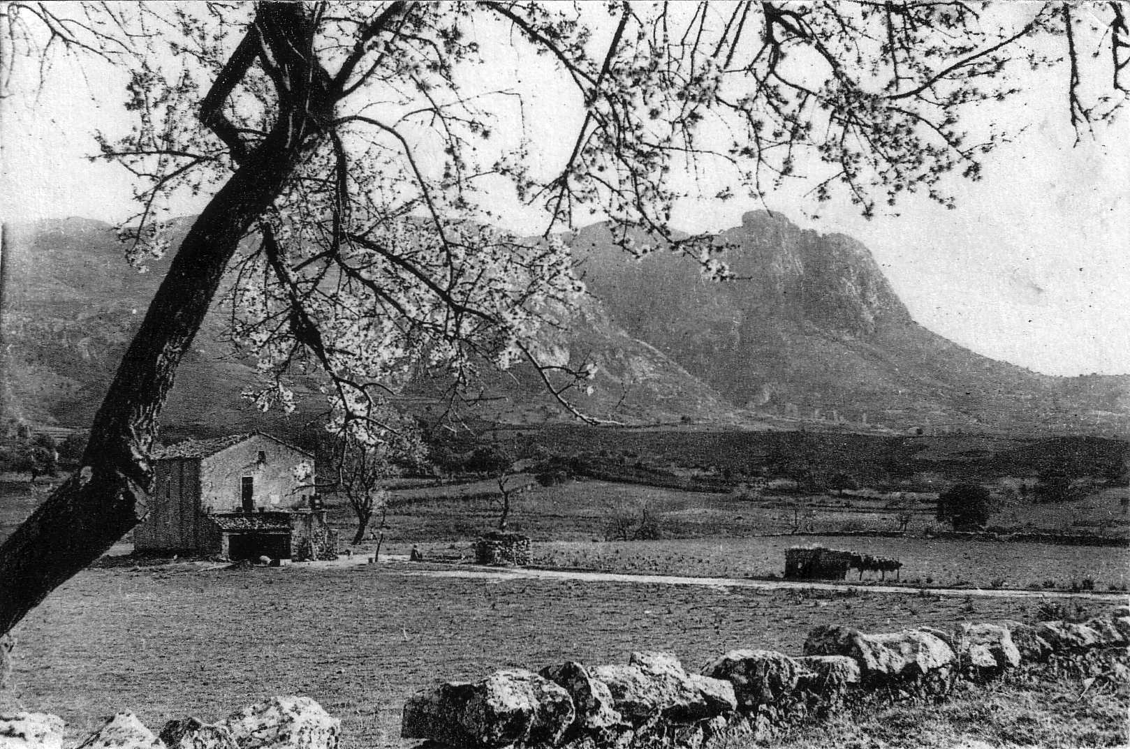 รูปถ่าย ฝรั่งเศส(France) คอร์สิคา(Corsica) โปสการ์ดเก่า(Old Postcards) 1900-01 176