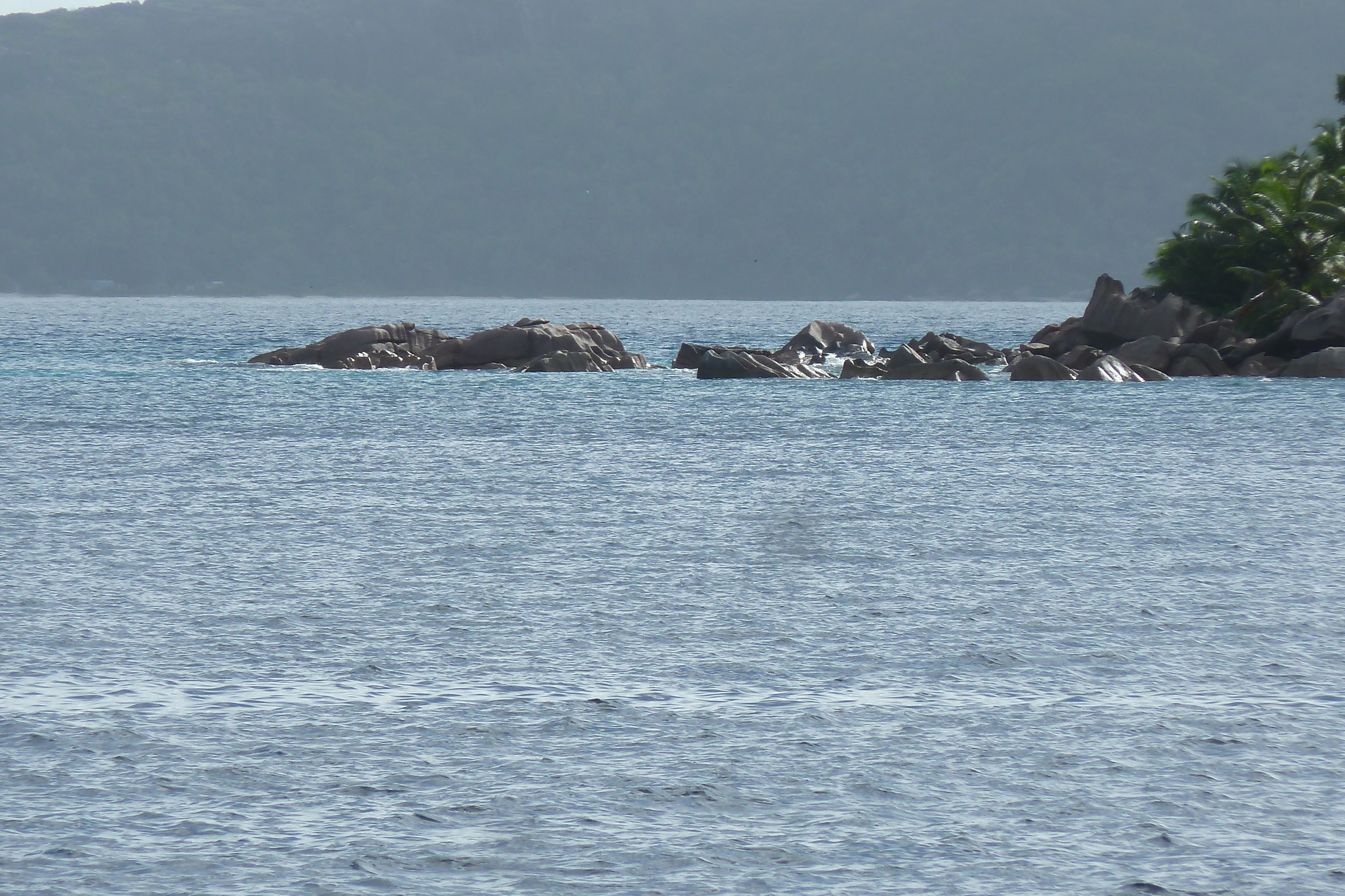 รูปถ่าย เซเชลส์(Seychelles) เกาะลาดีก(La Digue) 2011-10 171