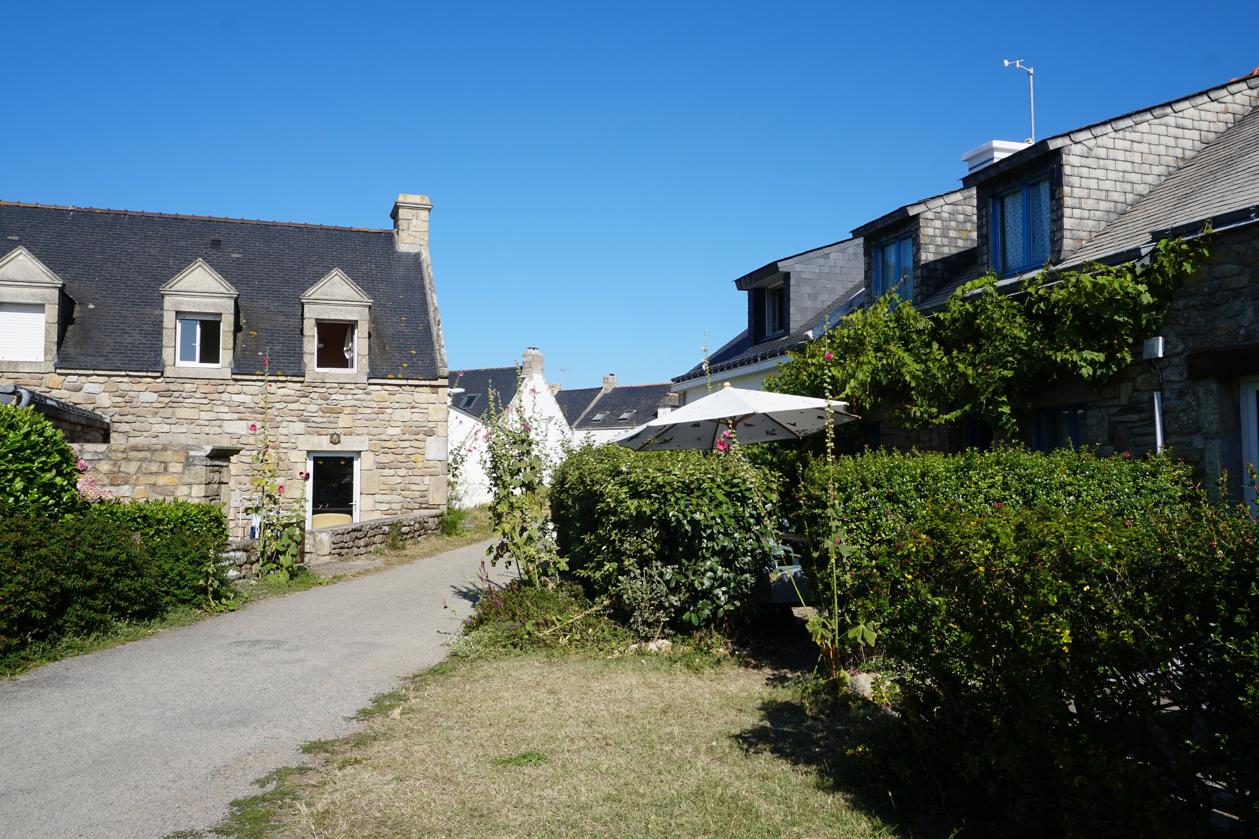 รูปถ่าย ฝรั่งเศส(France) เกาะเอดิก(Hoedic) 2016-08 56