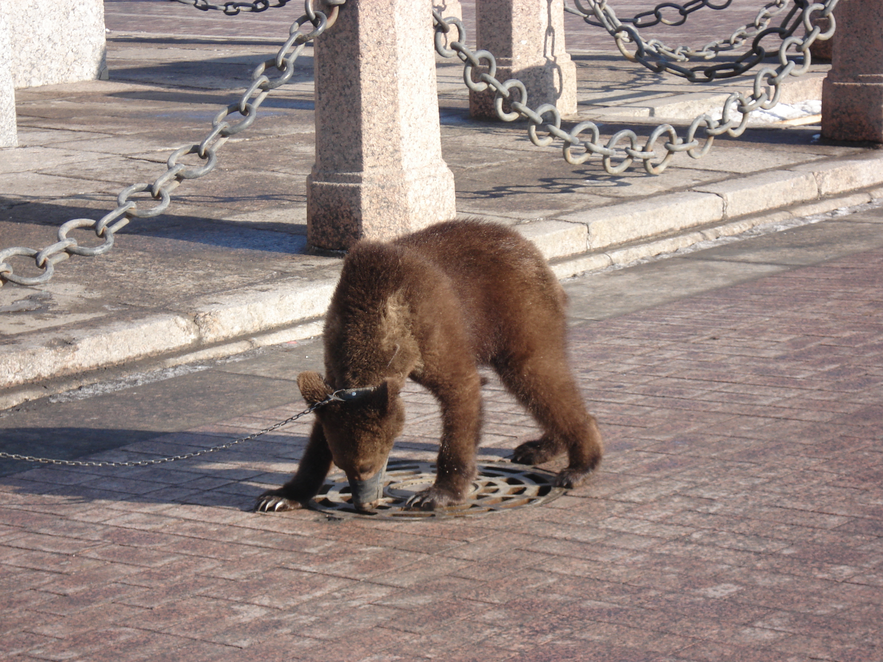 รูปถ่าย รัสเซีย(Russia) เซนต์ปีเตอร์สเบิร์ก(St Petersburg) 2006-03 153