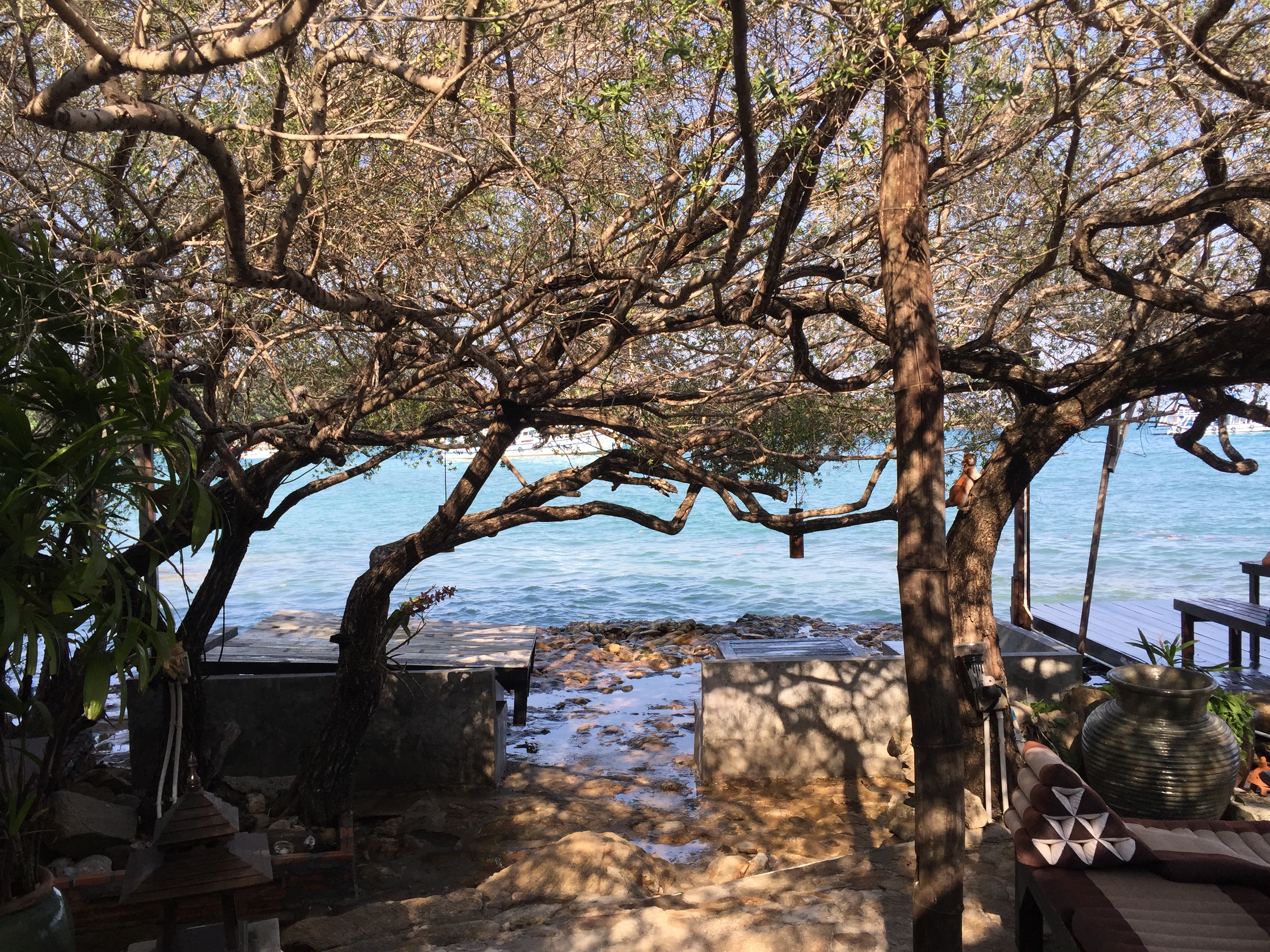 รูปถ่าย ไทย(Thailand) เกาะเสม็ด(Ko Samet) 2014-12 233
