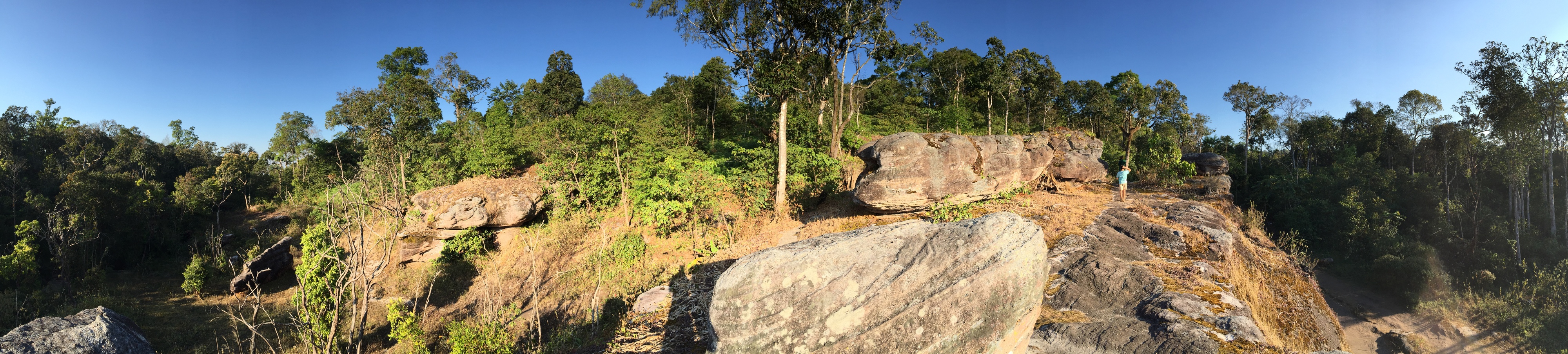 รูปถ่าย ไทย(Thailand) อุทยานแห่งชาติภูหินร่องกล้า(Phu Hin Rong Kla National Park) 2014-12 164