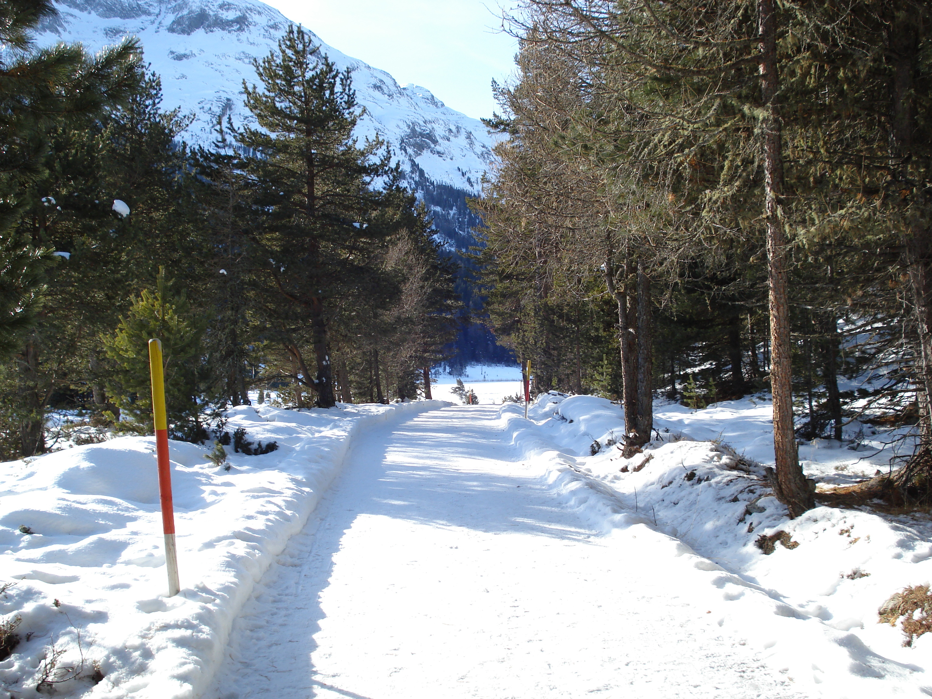 รูปถ่าย สวิสเซอร์แลนด์(Switzerland) เซนต์มอริตซ์ ชลาริญญา(St Moritz Schlarigna) 2007-01 98