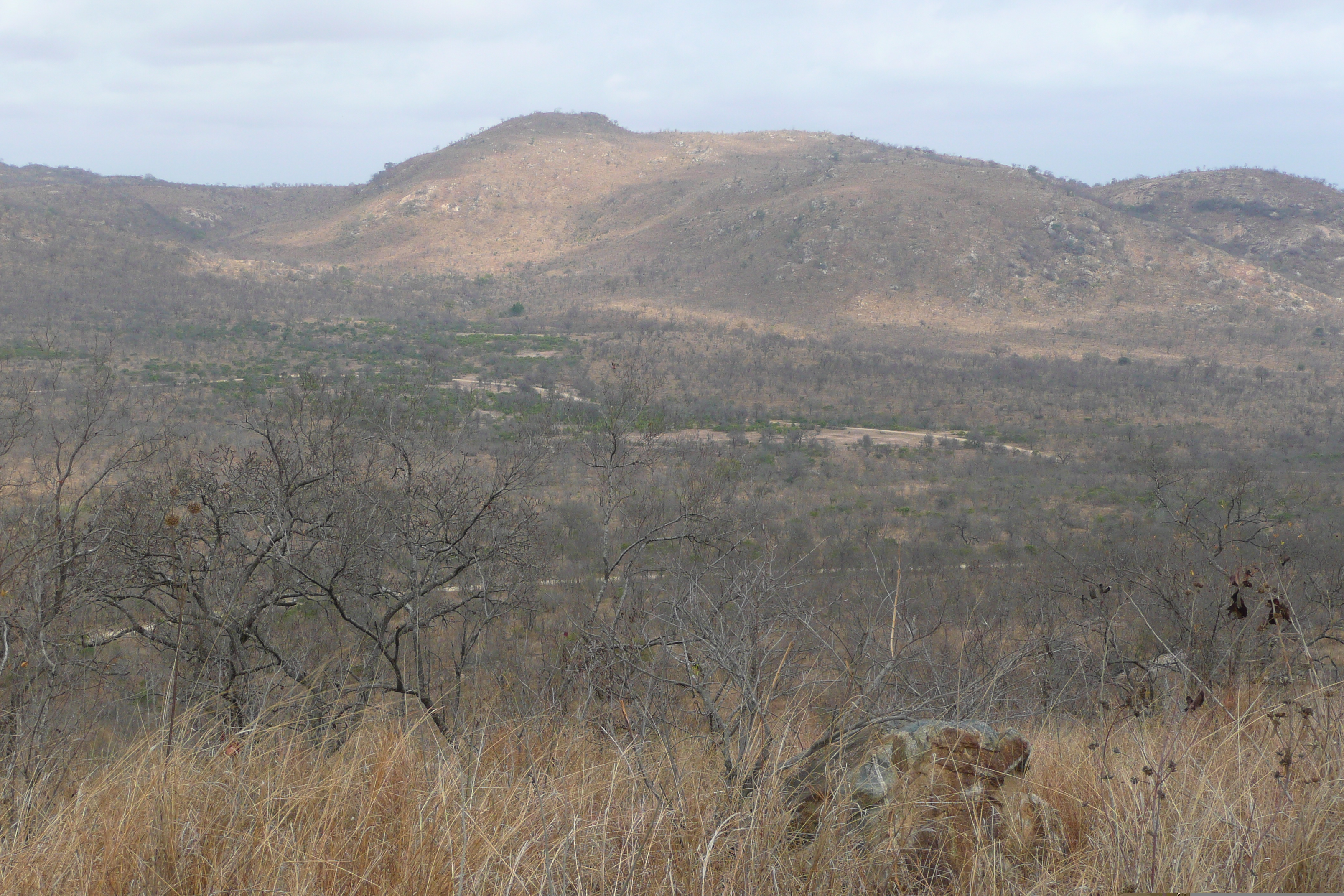 รูปถ่าย แอฟริกาใต้(South Africa) อุทยานแห่งชาติครูเกอร์(Kruger National Park) 2008-09 145