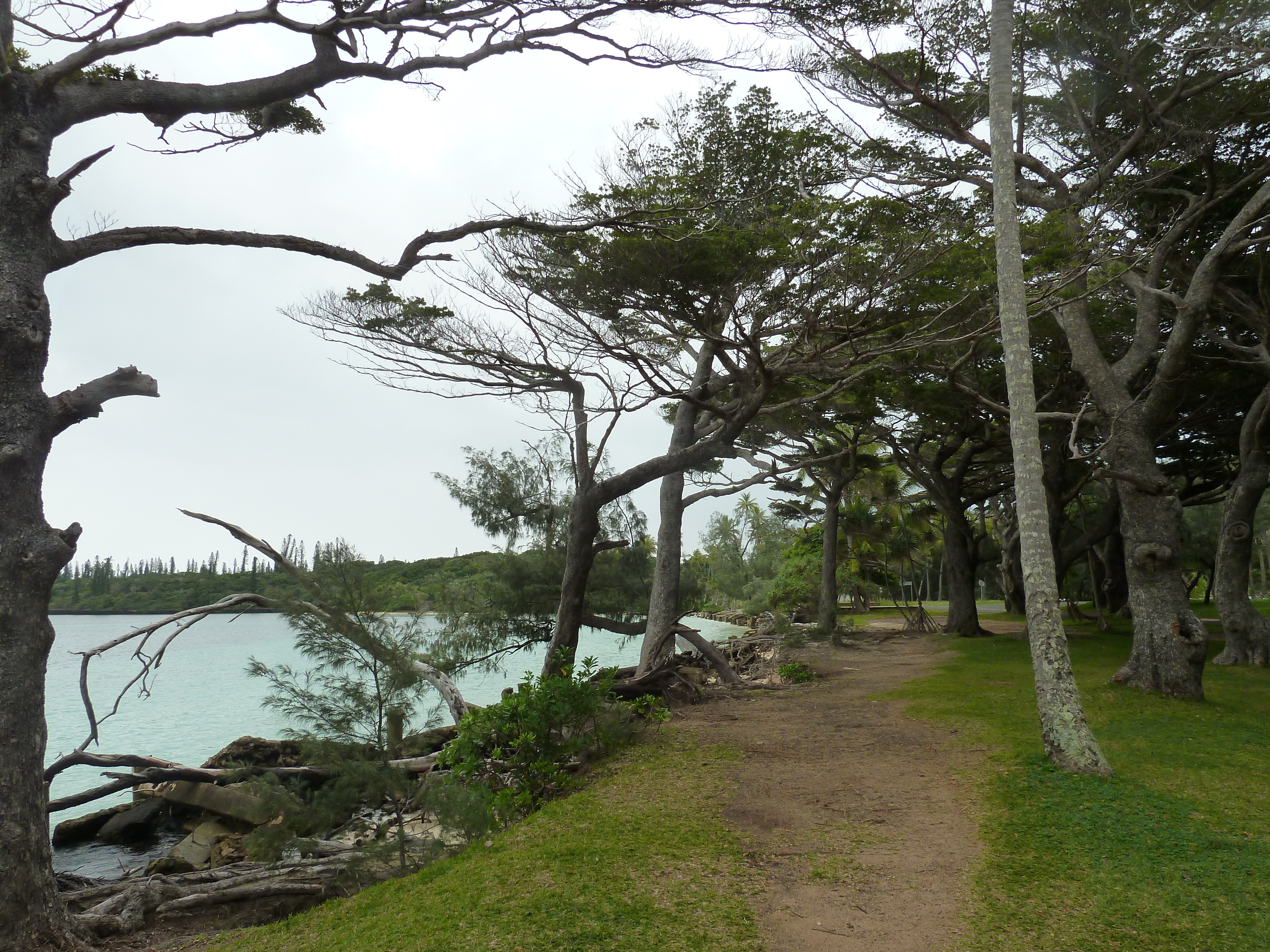 รูปถ่าย นิวแคลิโดเนีย(New Caledonia) เกาะต้นสน(Ile des pins) หาดคูโต(Kuto Beach) 2010-05 44