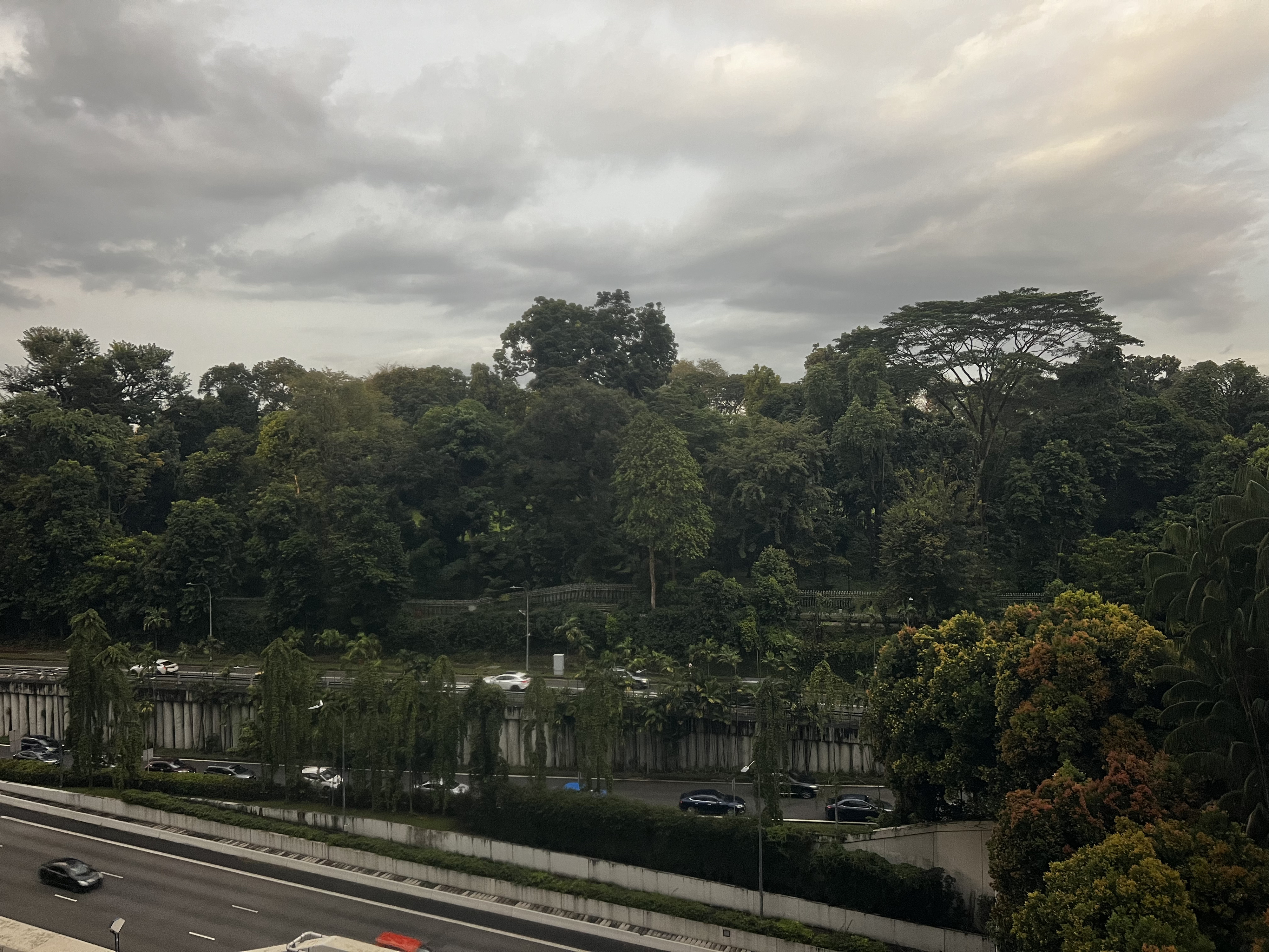 รูปถ่าย สิงคโปร์(Singapore) 2023-01 68