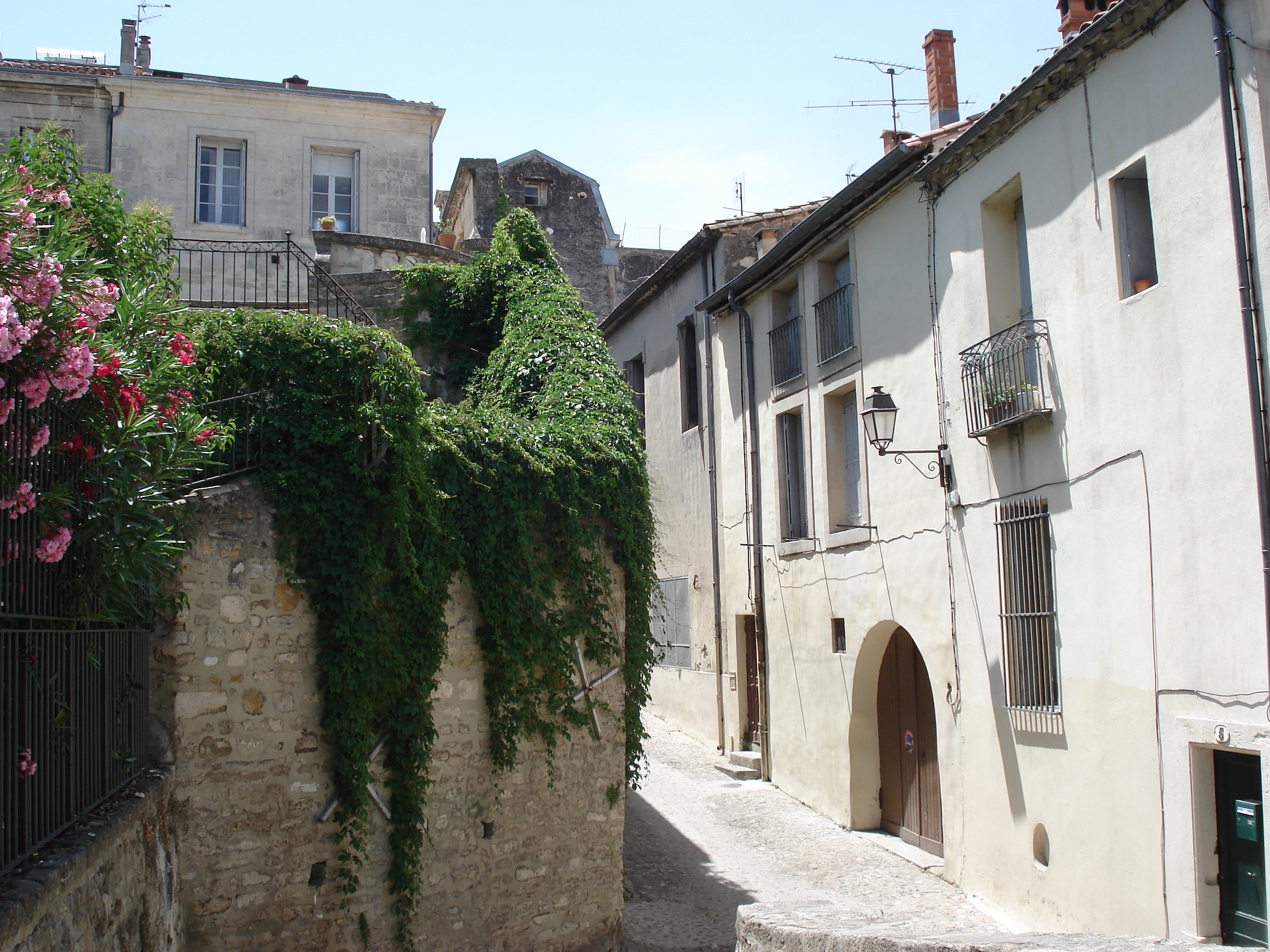 รูปถ่าย ฝรั่งเศส(France) มงเปลลีเยร์(Montpellier) 2006-06 135