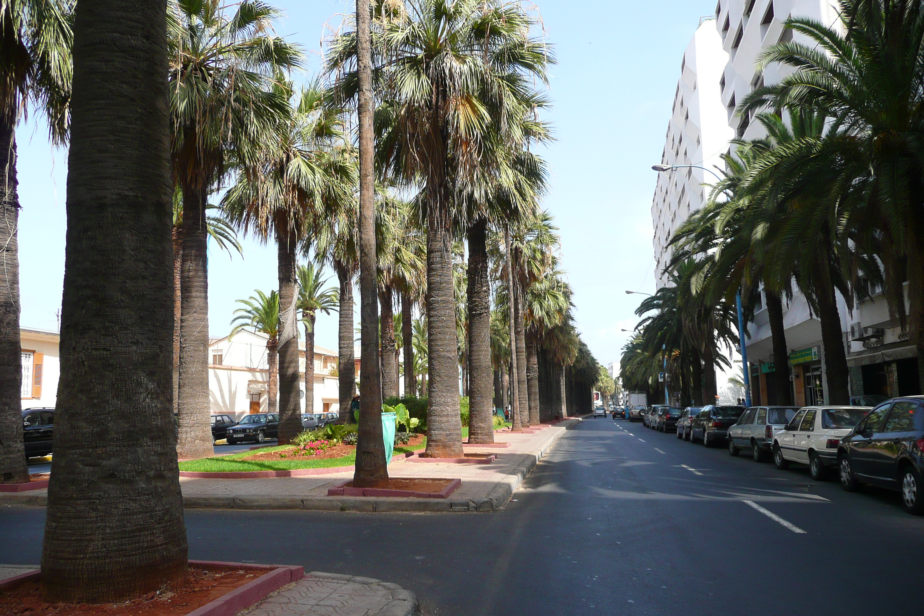 รูปถ่าย โมร็อกโก(Morocco) คาซาบลังกา(Casablanca) ใจกลางคาซาบลังกา(Casablanca Center) 2008-07 110