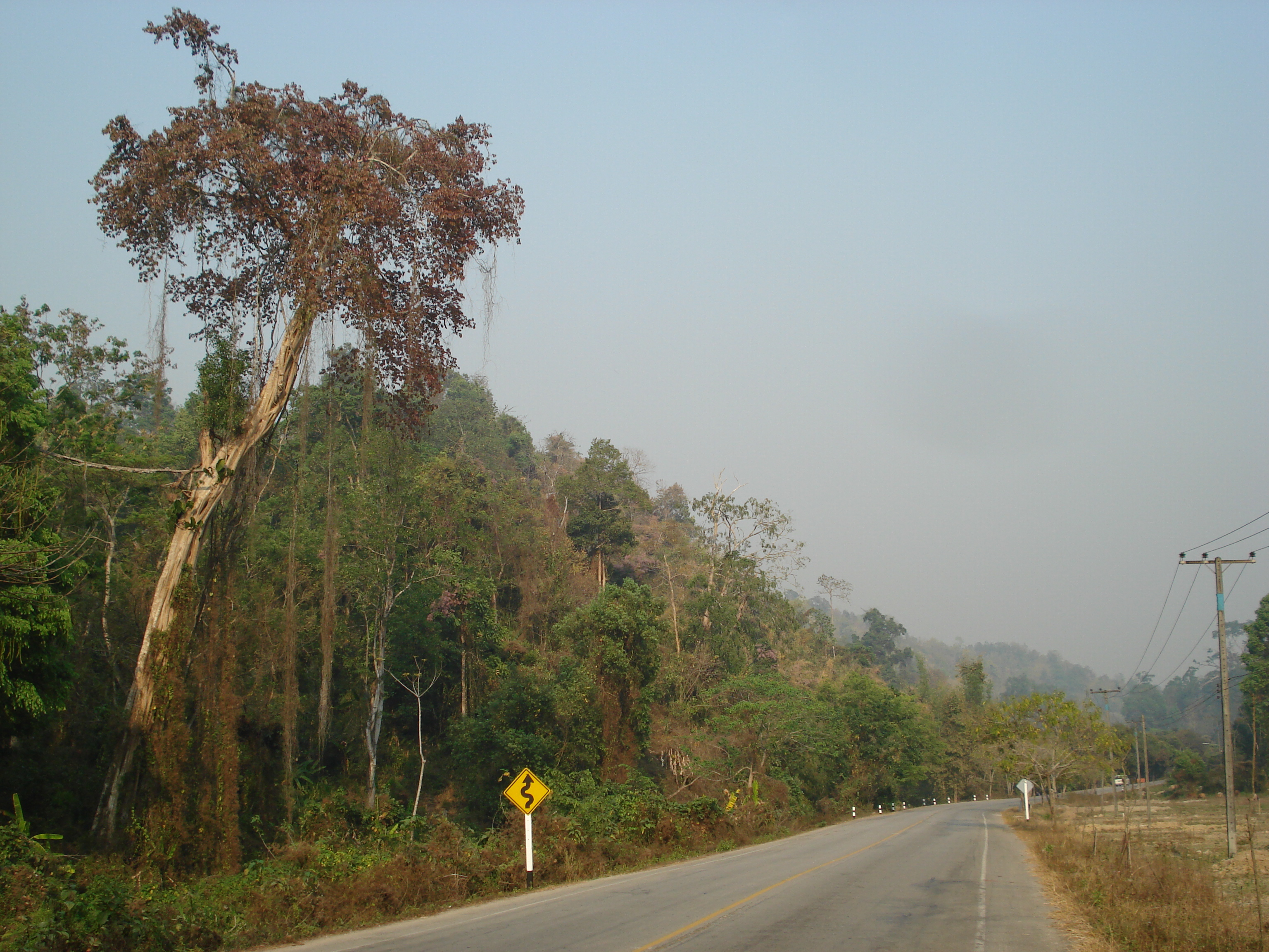 รูปถ่าย ไทย(Thailand) ถนนจากเชียงใหม่ไปปาย(Chiang Mai to Pai road) 2007-02 142