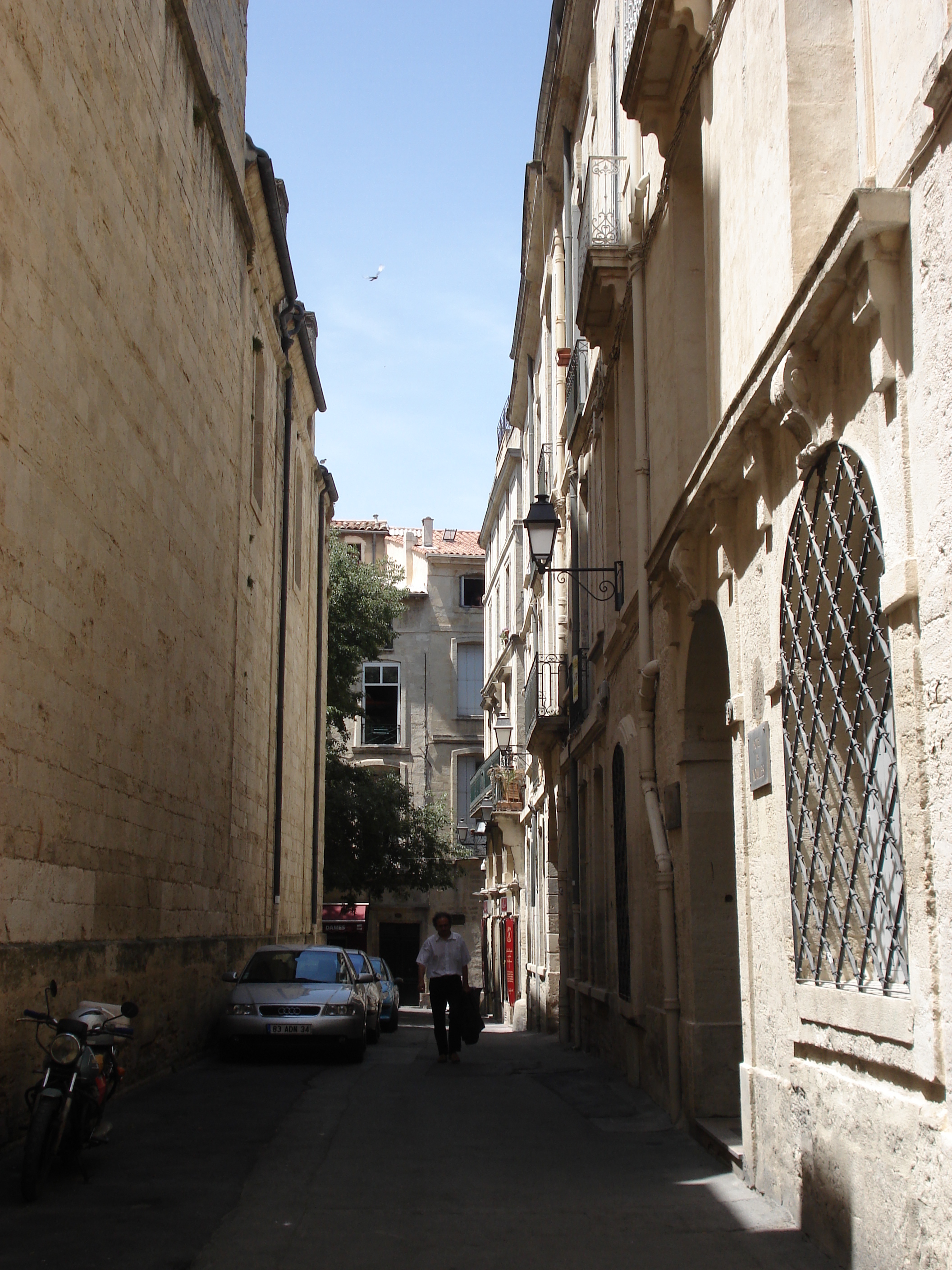 รูปถ่าย ฝรั่งเศส(France) มงเปลลีเยร์(Montpellier) 2006-06 16