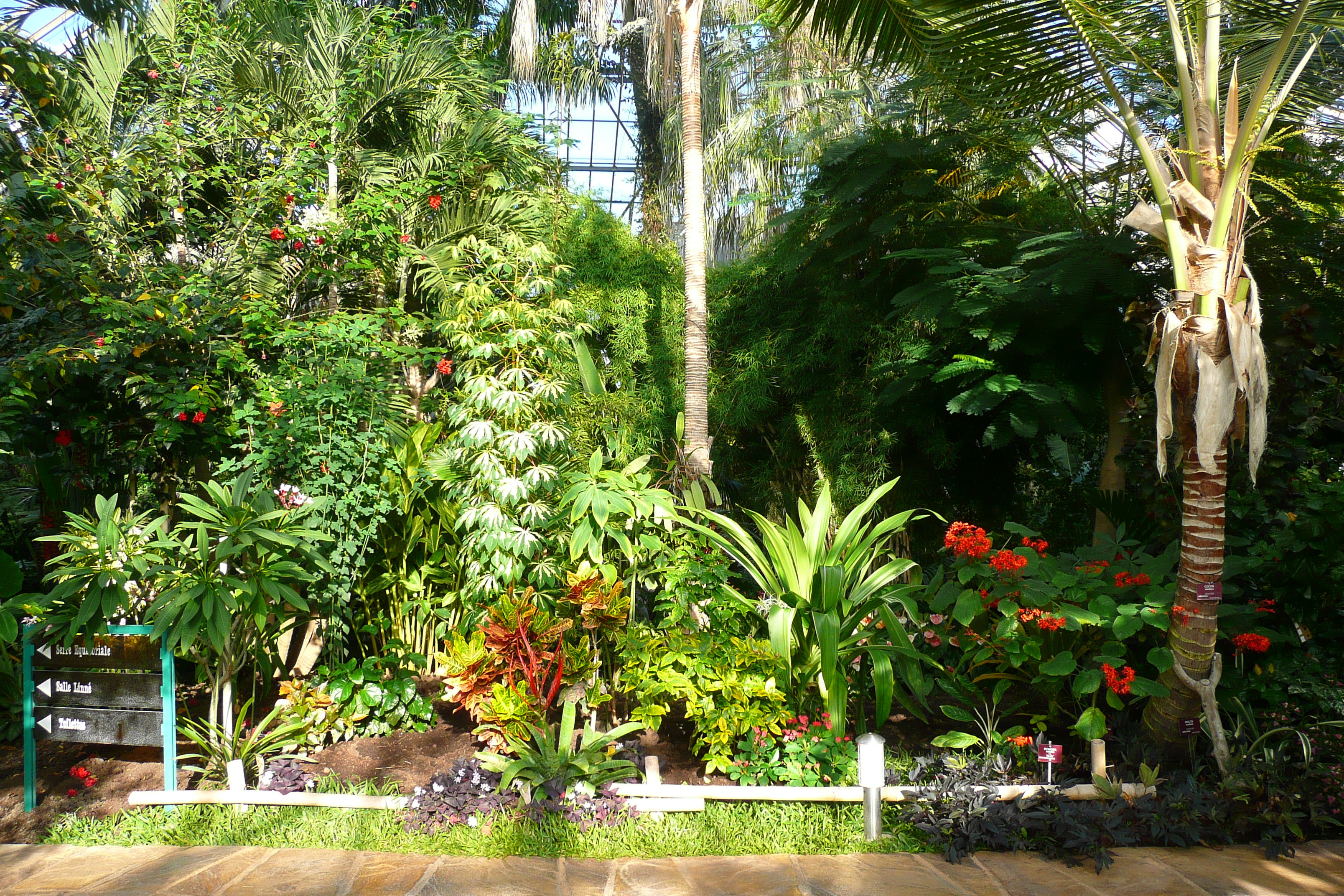 รูปถ่าย ฝรั่งเศส(France) นีส(Nice) สวนฟีนิกซ์(Phoenix Parc) 2007-10 67