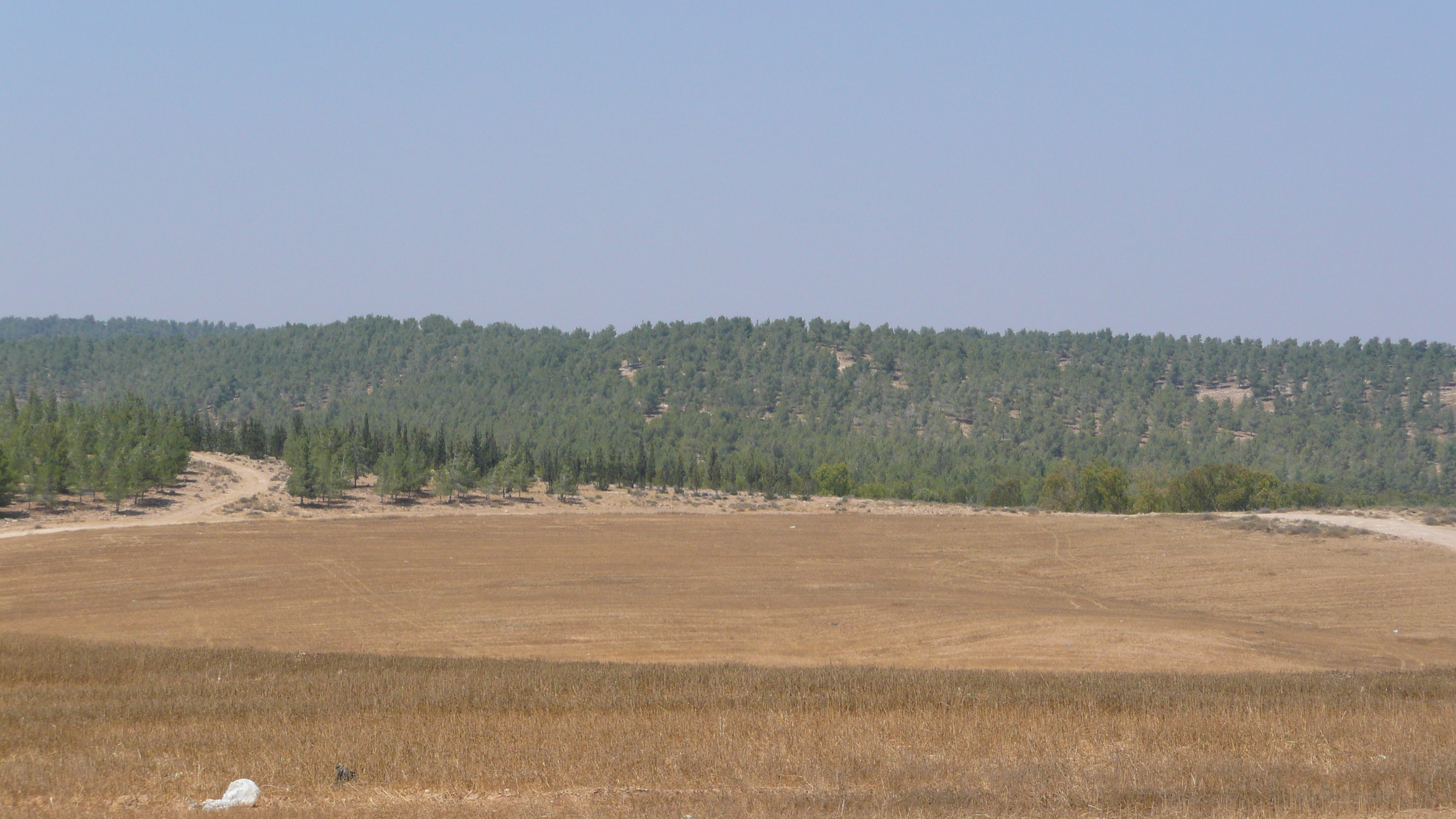 รูปถ่าย อิสราเอล(Israel) ถนนจากอัชเคลอนไปอาราด(Ashkelon to Arad road) 2007-06 83