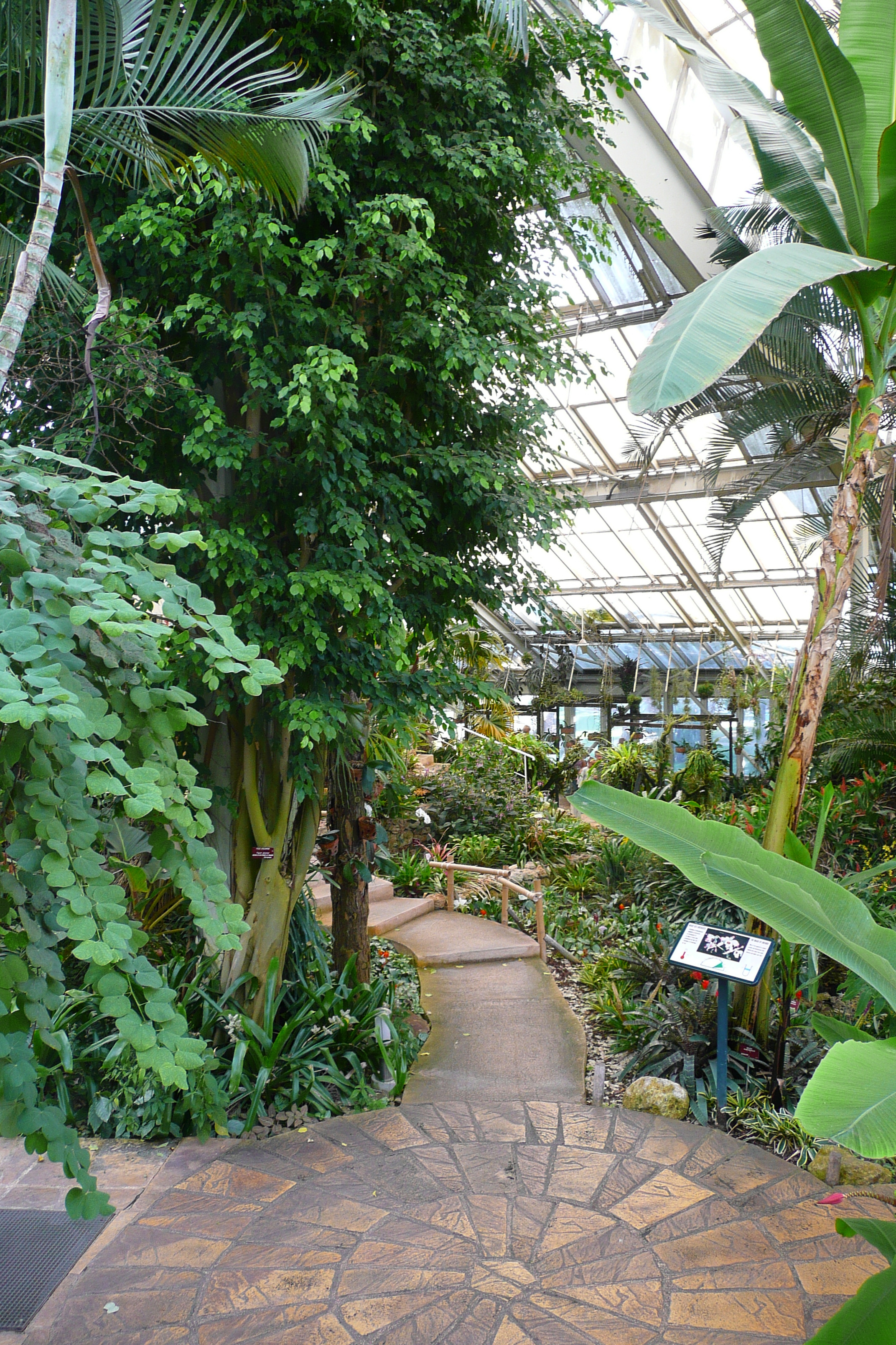 รูปถ่าย ฝรั่งเศส(France) นีส(Nice) สวนฟีนิกซ์(Phoenix Parc) 2007-10 81