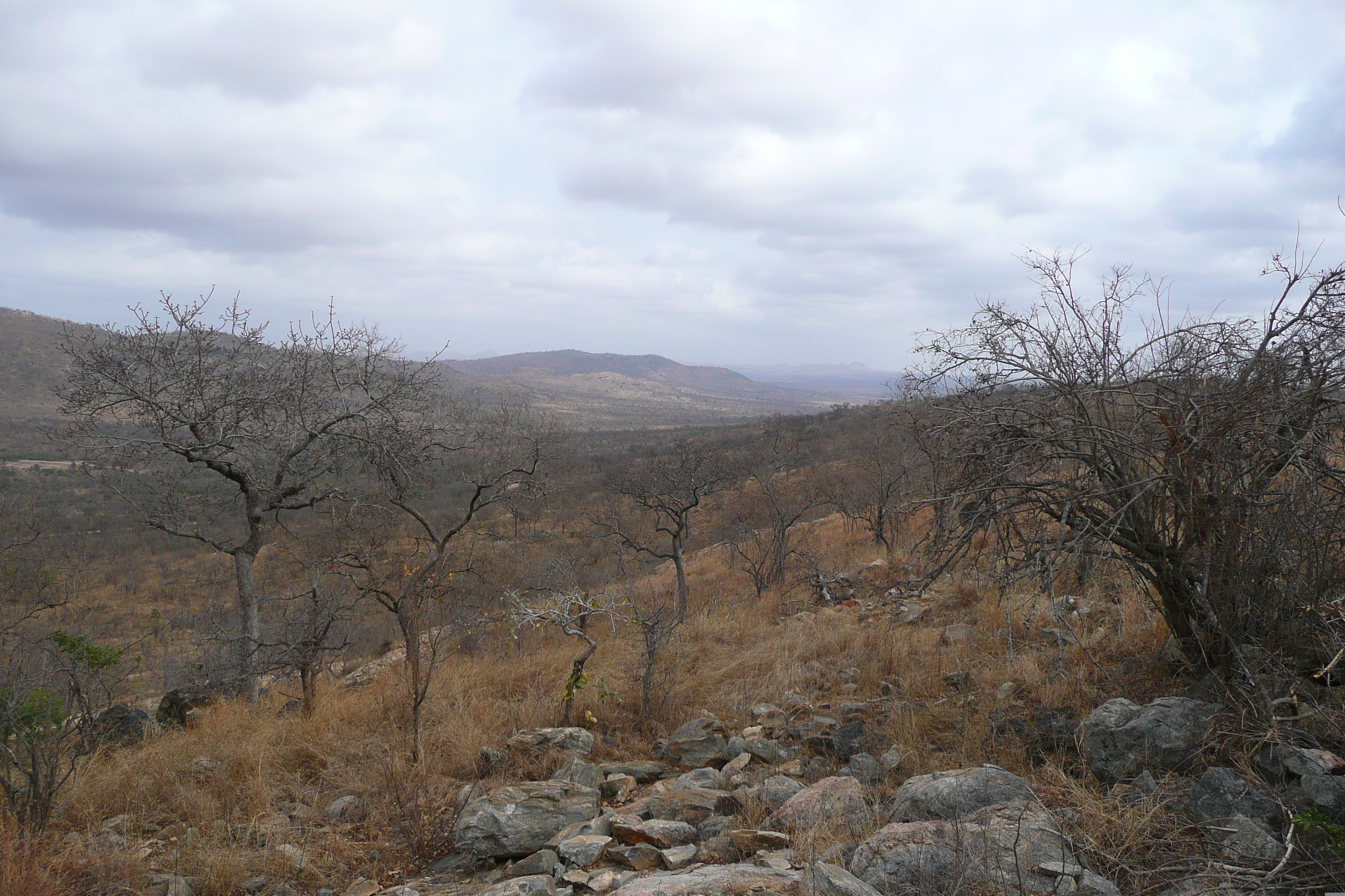 รูปถ่าย แอฟริกาใต้(South Africa) อุทยานแห่งชาติครูเกอร์(Kruger National Park) 2008-09 169
