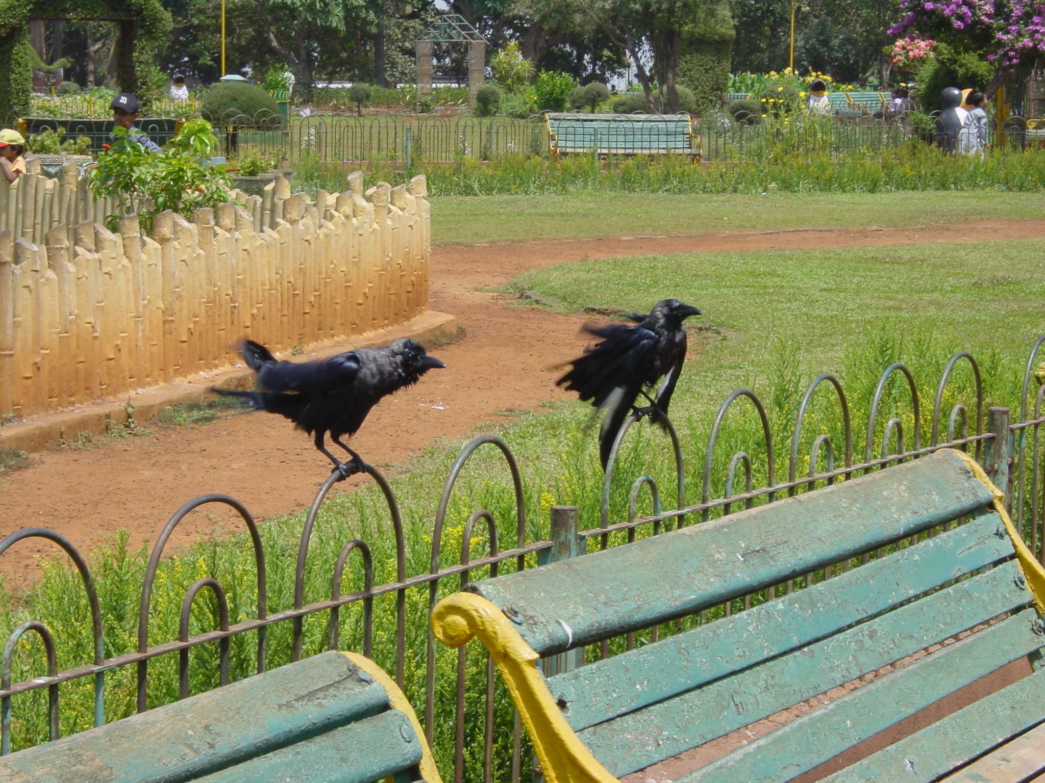 รูปถ่าย อินเดีย(India) มัมไบ(Mumbai) 2003-05 56