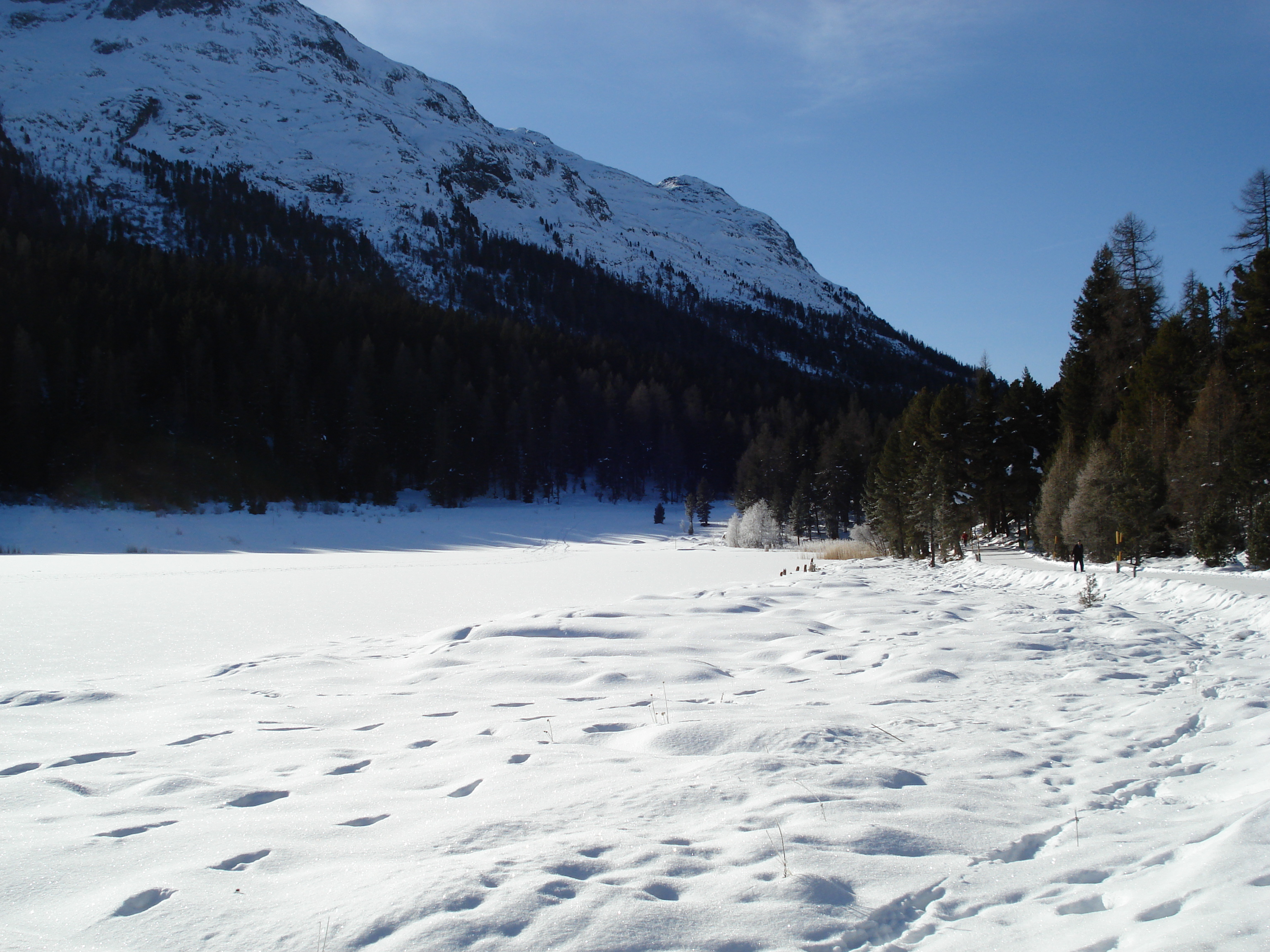 รูปถ่าย สวิสเซอร์แลนด์(Switzerland) เซนต์มอริตซ์ ชลาริญญา(St Moritz Schlarigna) 2007-01 8