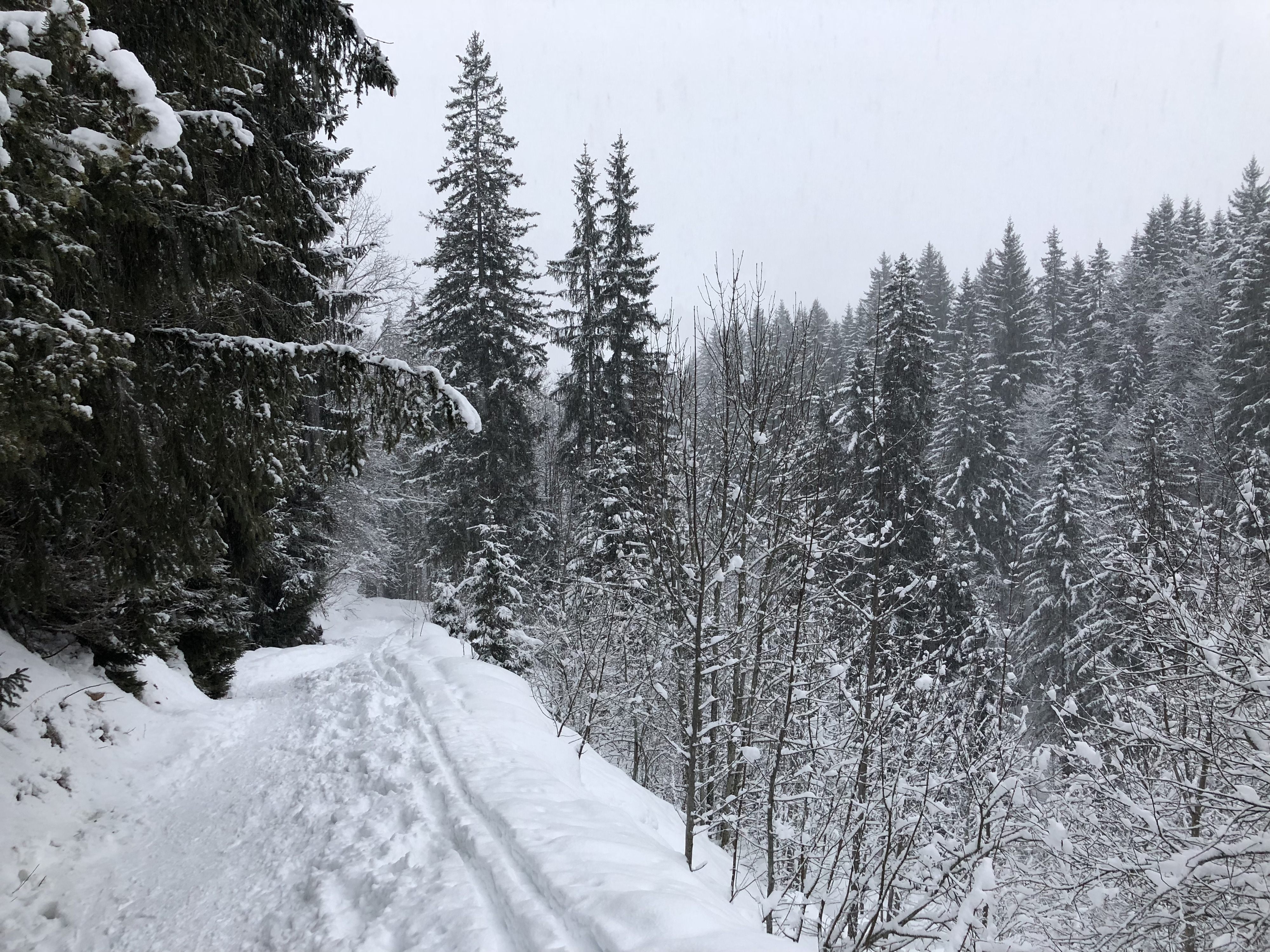 รูปถ่าย ฝรั่งเศส(France) ลากลูซา(La Clusaz) 2017-12 191
