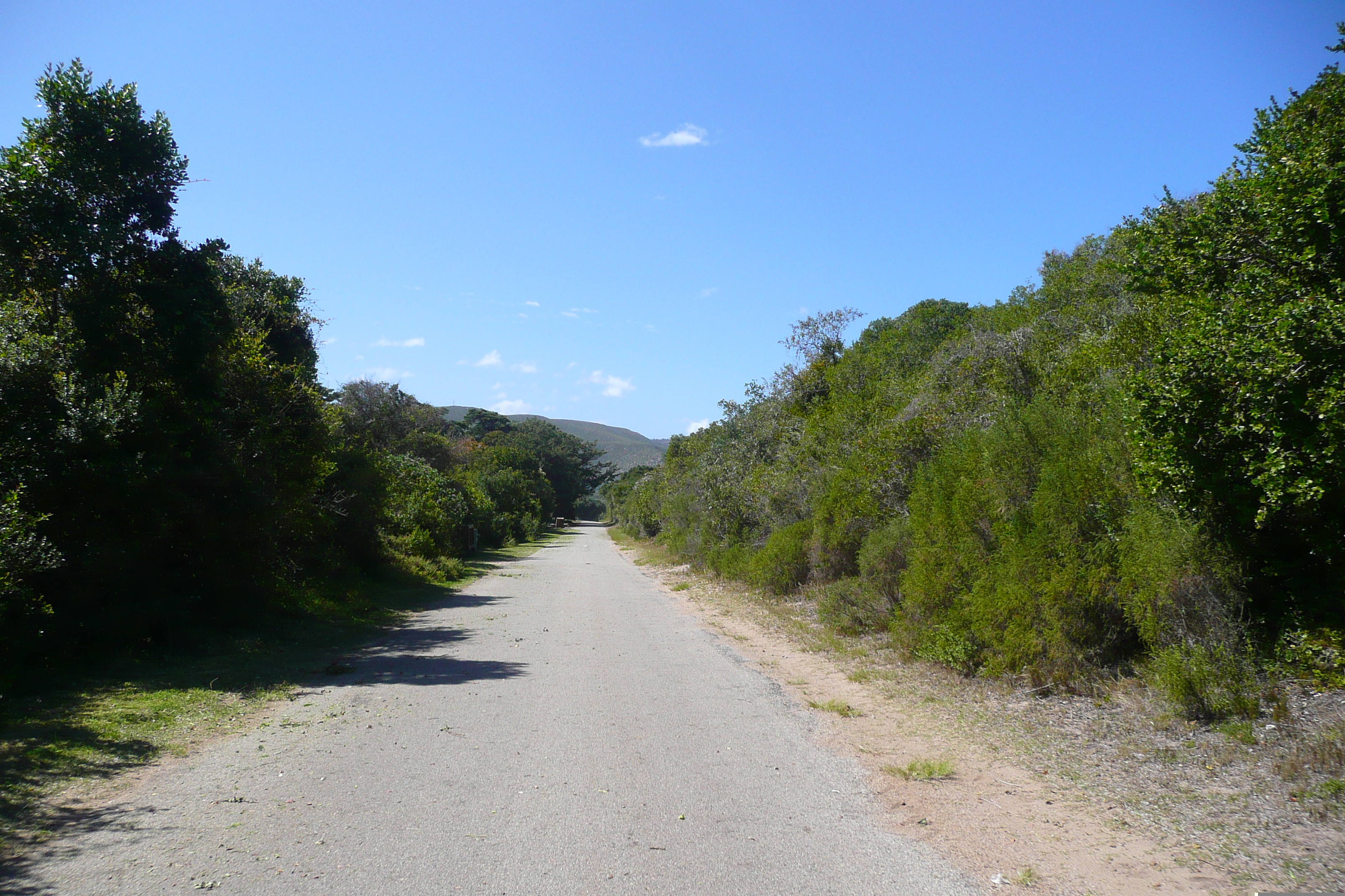 รูปถ่าย แอฟริกาใต้(South Africa) หุบเขาเนเจอร์ส(Nature's Valley) 2008-09 56