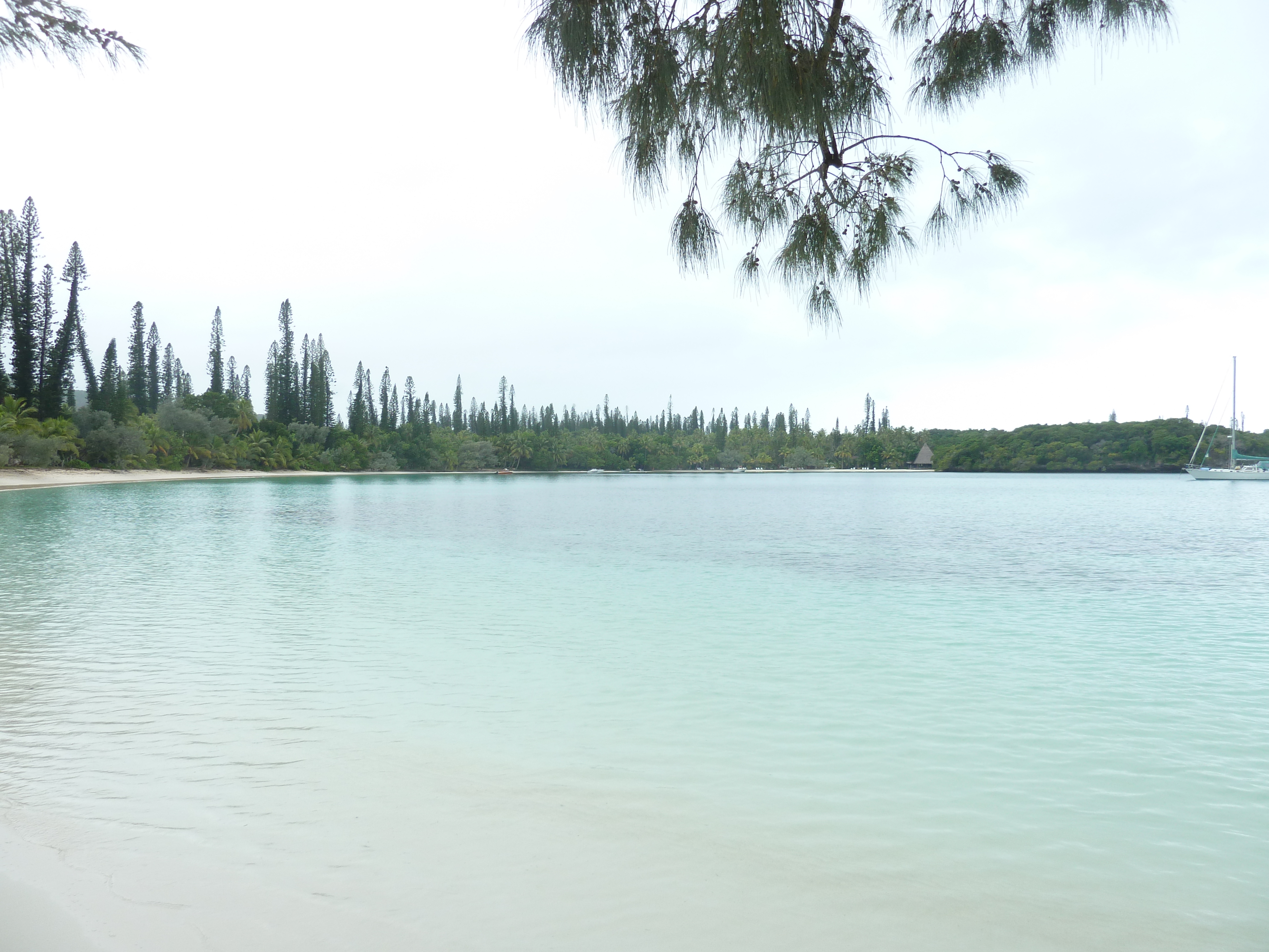 รูปถ่าย นิวแคลิโดเนีย(New Caledonia) เกาะต้นสน(Ile des pins) หาดคูโต(Kuto Beach) 2010-05 46