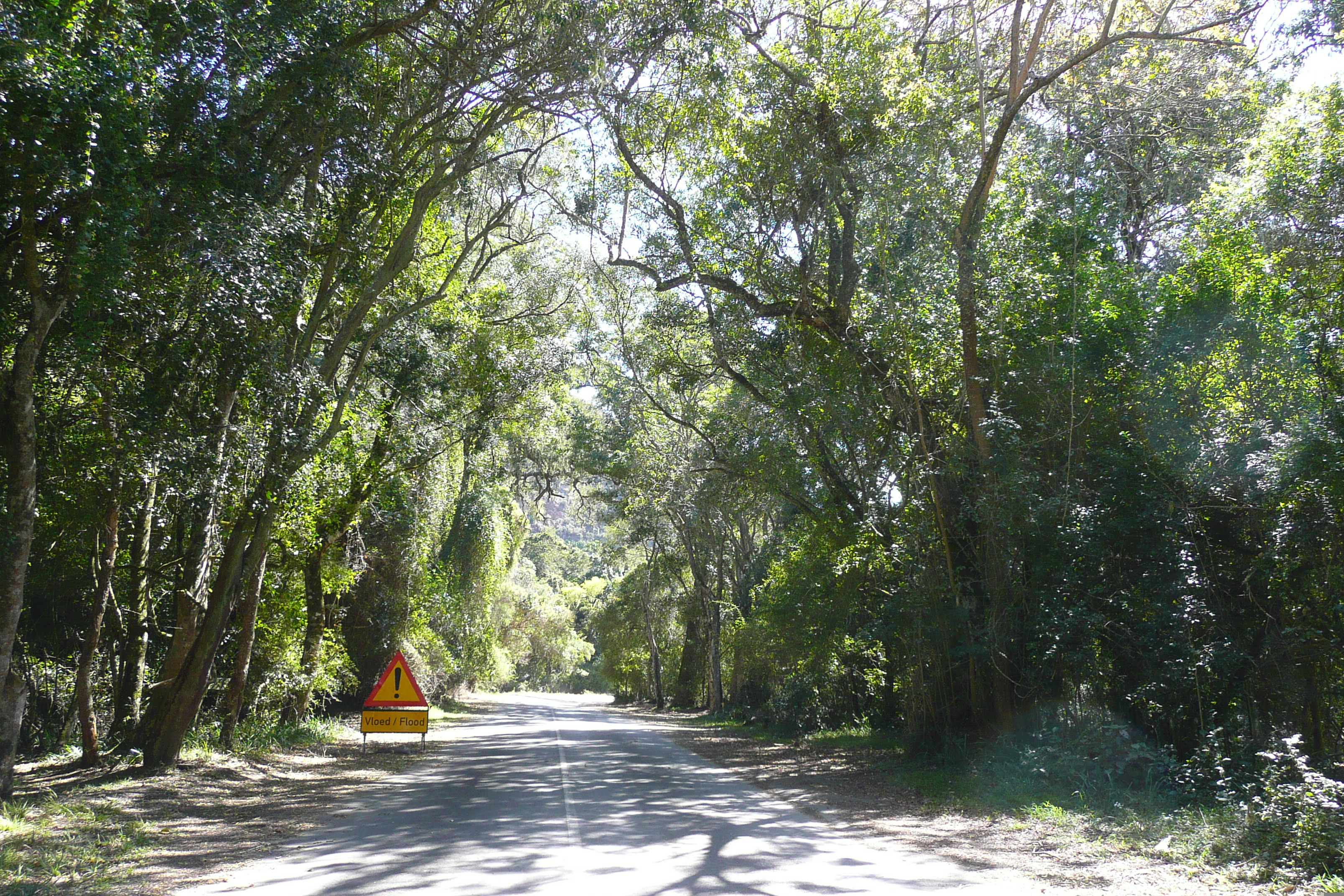 รูปถ่าย แอฟริกาใต้(South Africa) หุบเขาเนเจอร์ส(Nature's Valley) 2008-09 49