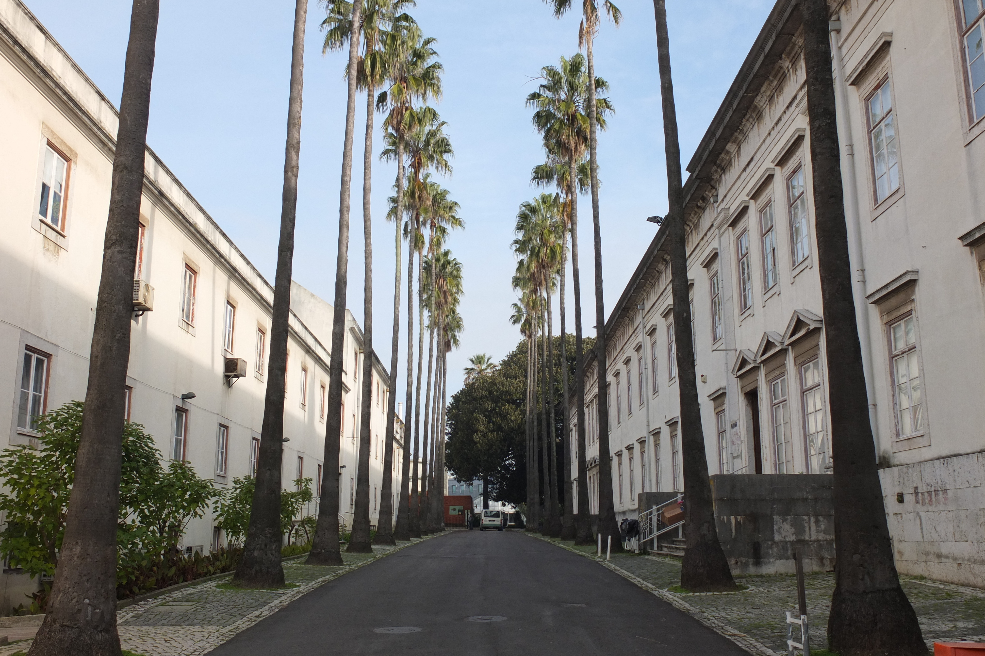 รูปถ่าย โปรตุเกส(Portugal) ลิสบอน(Lisbon) 2013-01 79