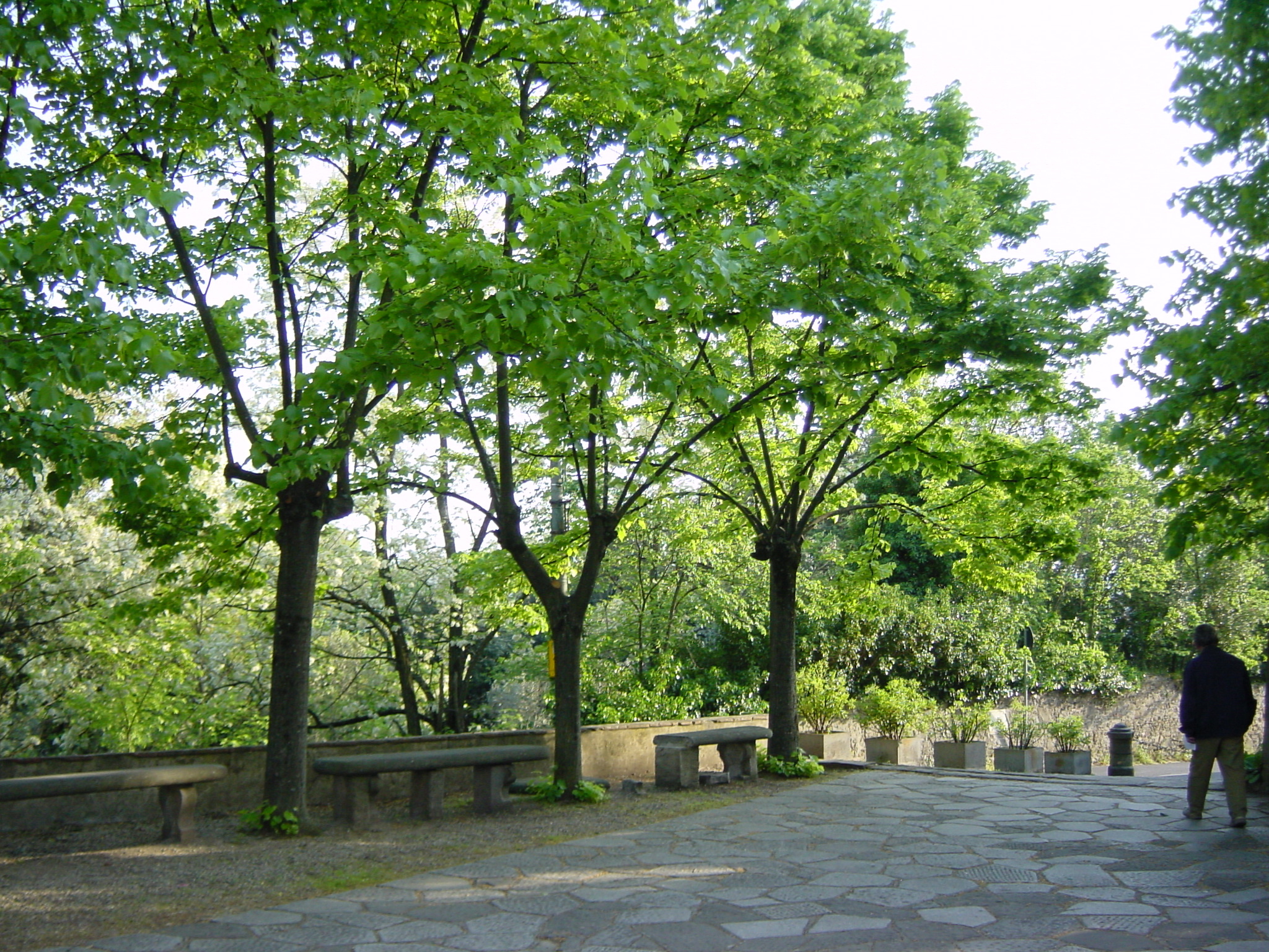 รูปถ่าย อิตาลี(Italy) ฟลอเรนซ์(Florence) 2002-04 43