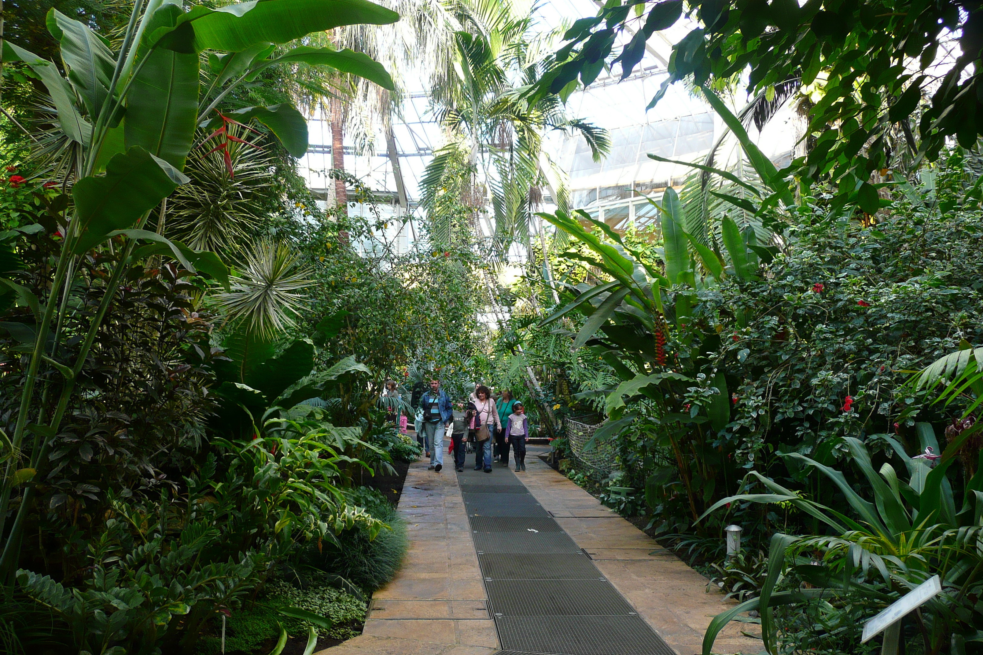 รูปถ่าย ฝรั่งเศส(France) นีส(Nice) สวนฟีนิกซ์(Phoenix Parc) 2007-10 24