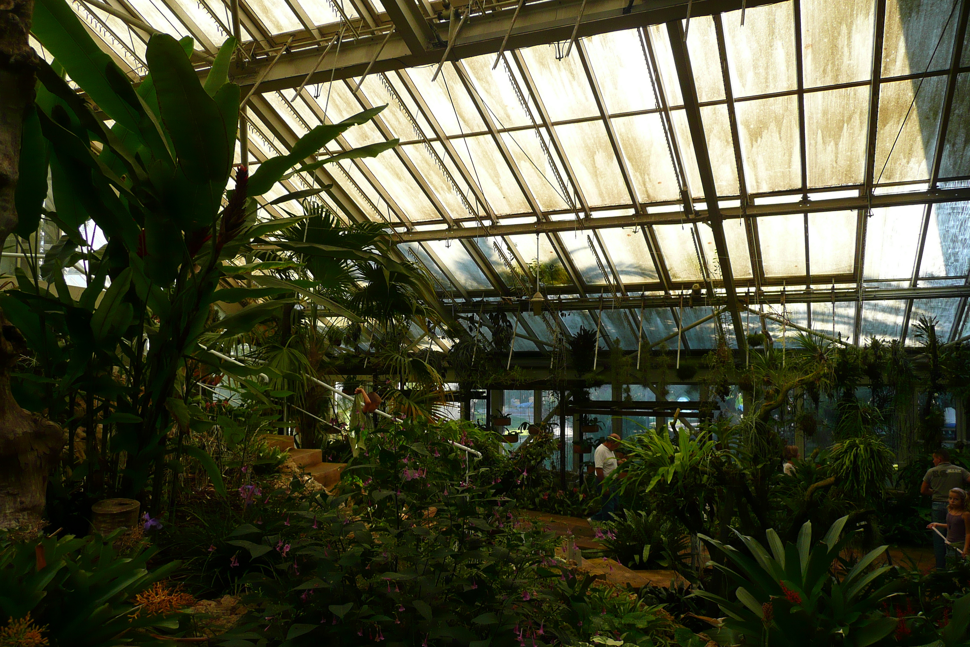 รูปถ่าย ฝรั่งเศส(France) นีส(Nice) สวนฟีนิกซ์(Phoenix Parc) 2007-10 15