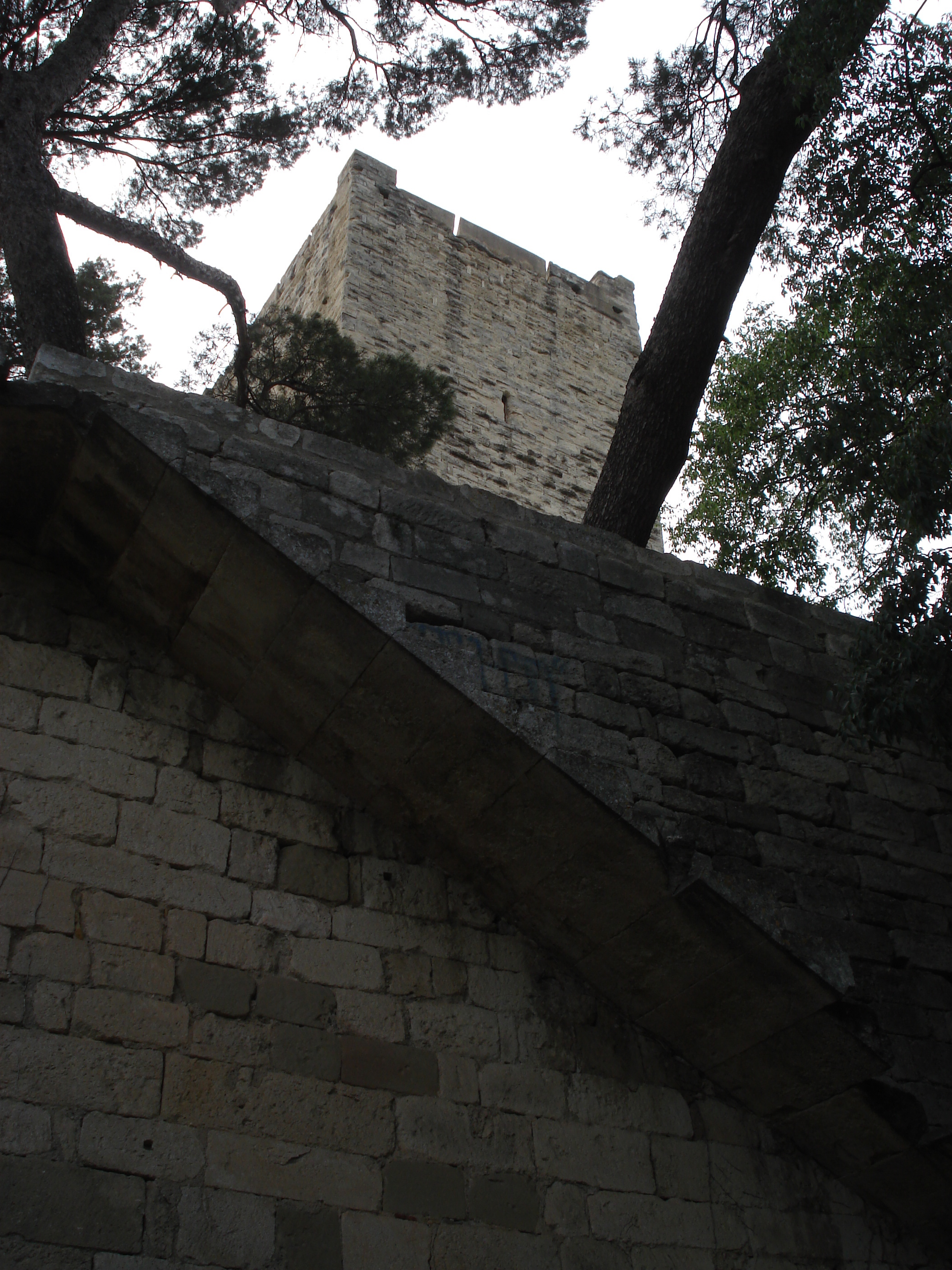 รูปถ่าย ฝรั่งเศส(France) โซเมียร์(Sommieres) 2006-06 42