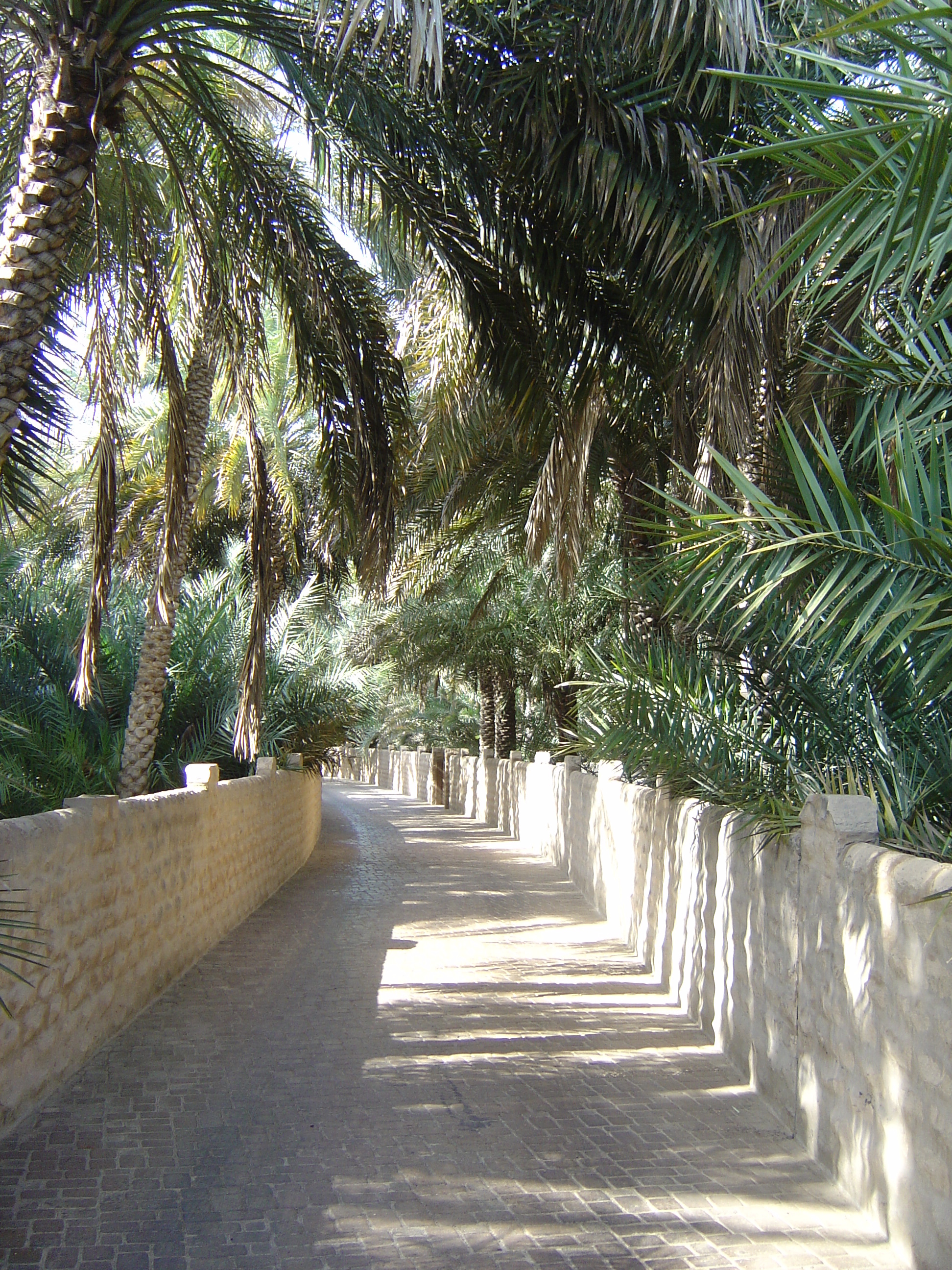 รูปถ่าย สหรัฐอาหรับเอมิเรตส์(United Arab Emirates) อาเลอิน(Al Ain) โอเอซิสอัลไอน์(Al Ain Oasis) 2005-03 20