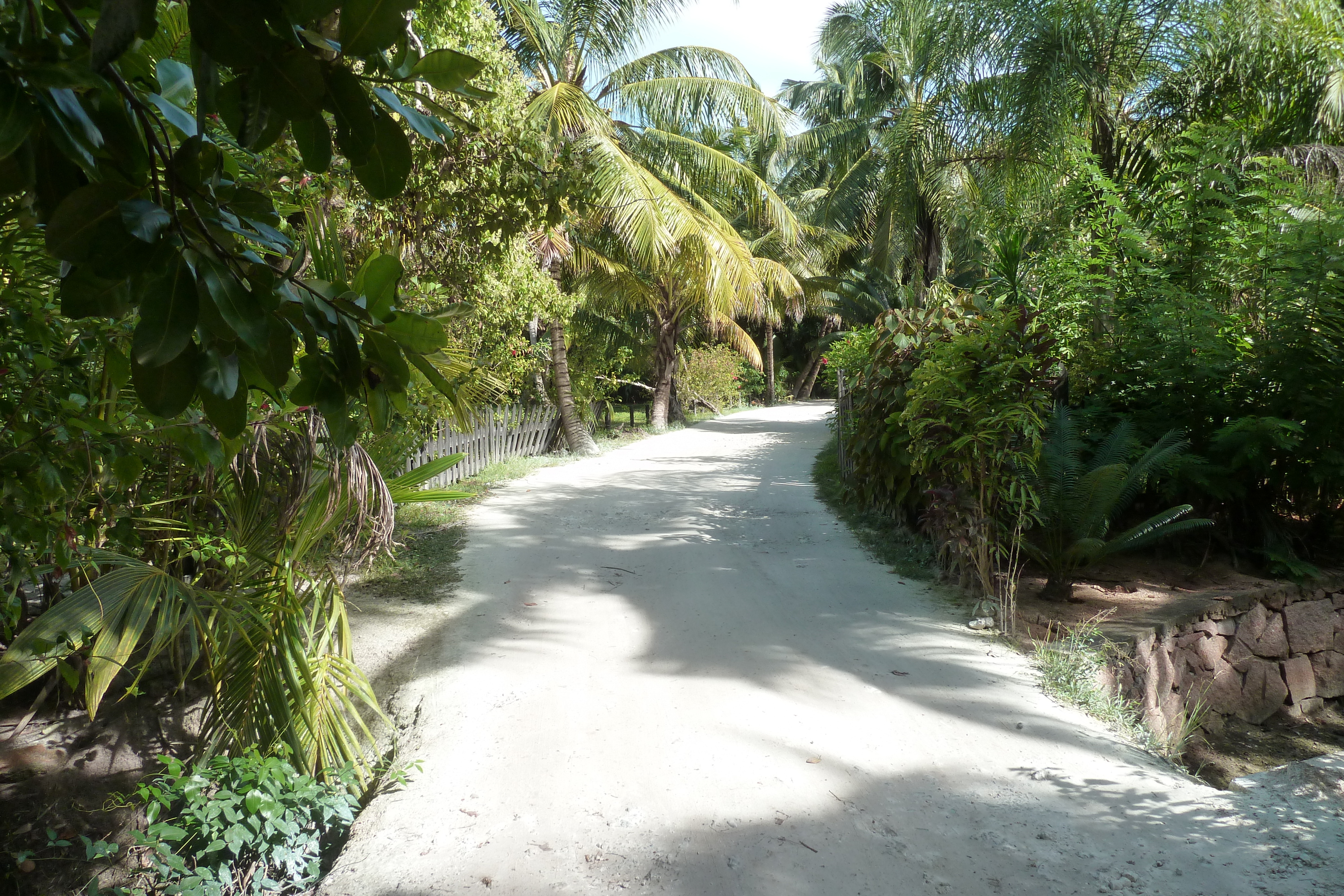 รูปถ่าย เซเชลส์(Seychelles) อ่าวอ็องส์ลาซิโอ(Anse Lazio) 2011-10 133
