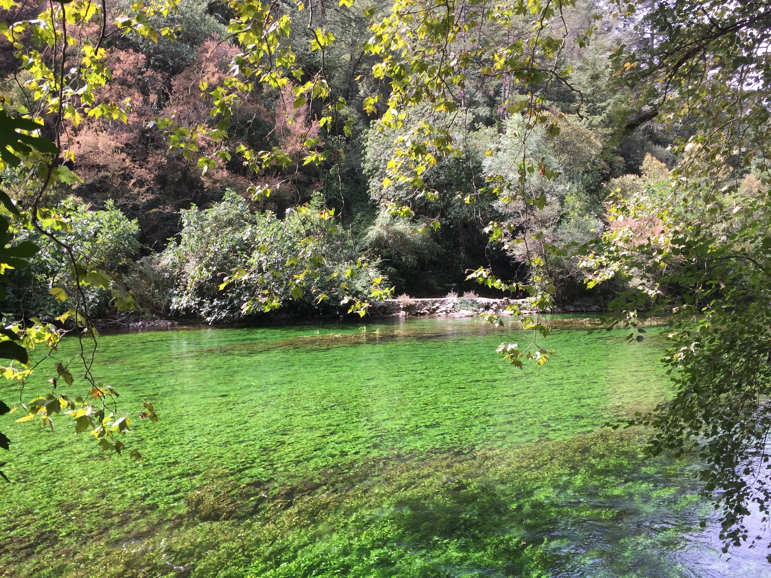 รูปถ่าย ฝรั่งเศส(France) ฟงแตน-เดอ-โวกลูซ(Fontaine-de-Vaucluse) 2017-08 38