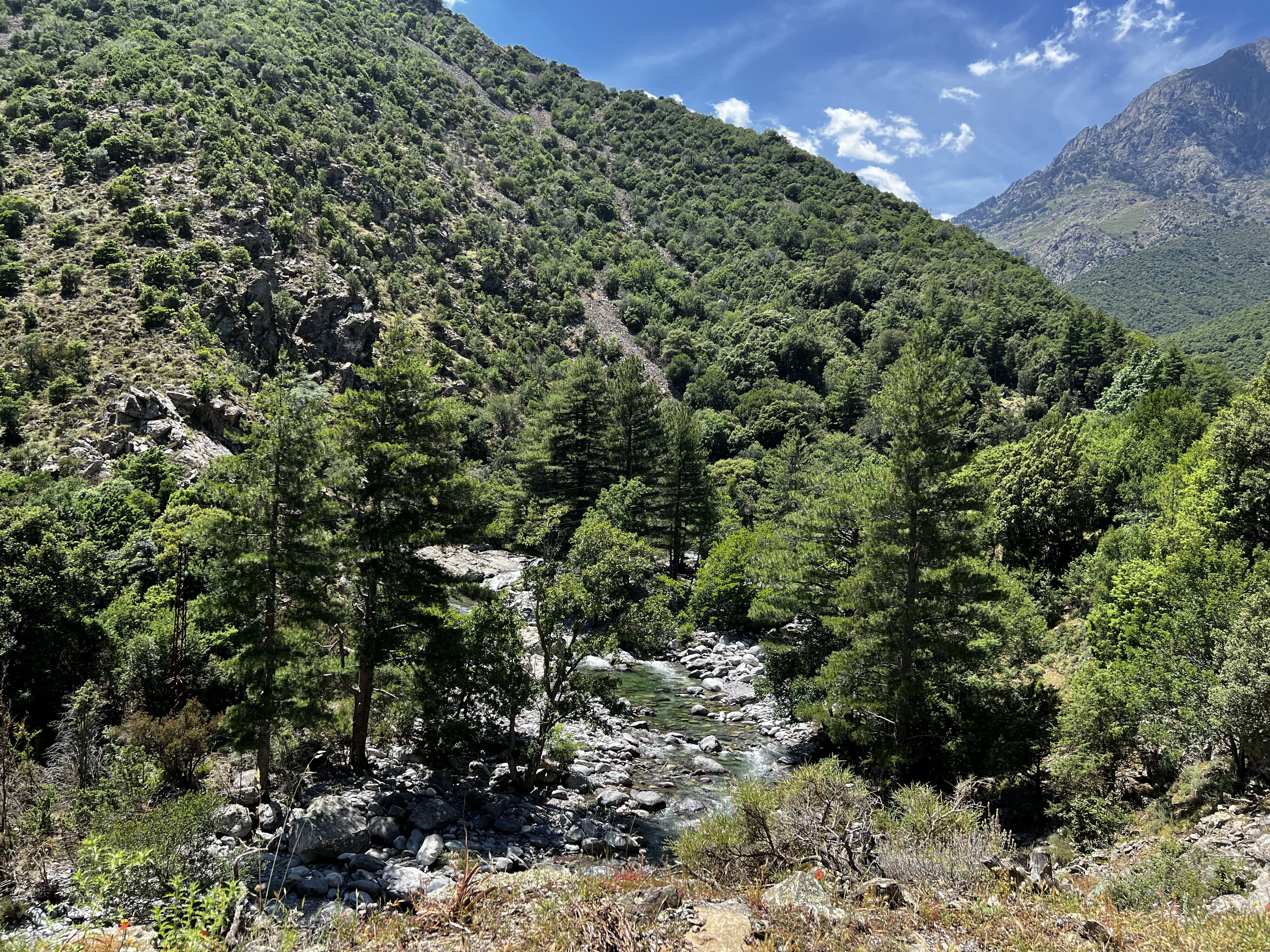 รูปถ่าย ฝรั่งเศส(France) คอร์สิคา(Corsica) อัสโก(Asco) 2023-06 20