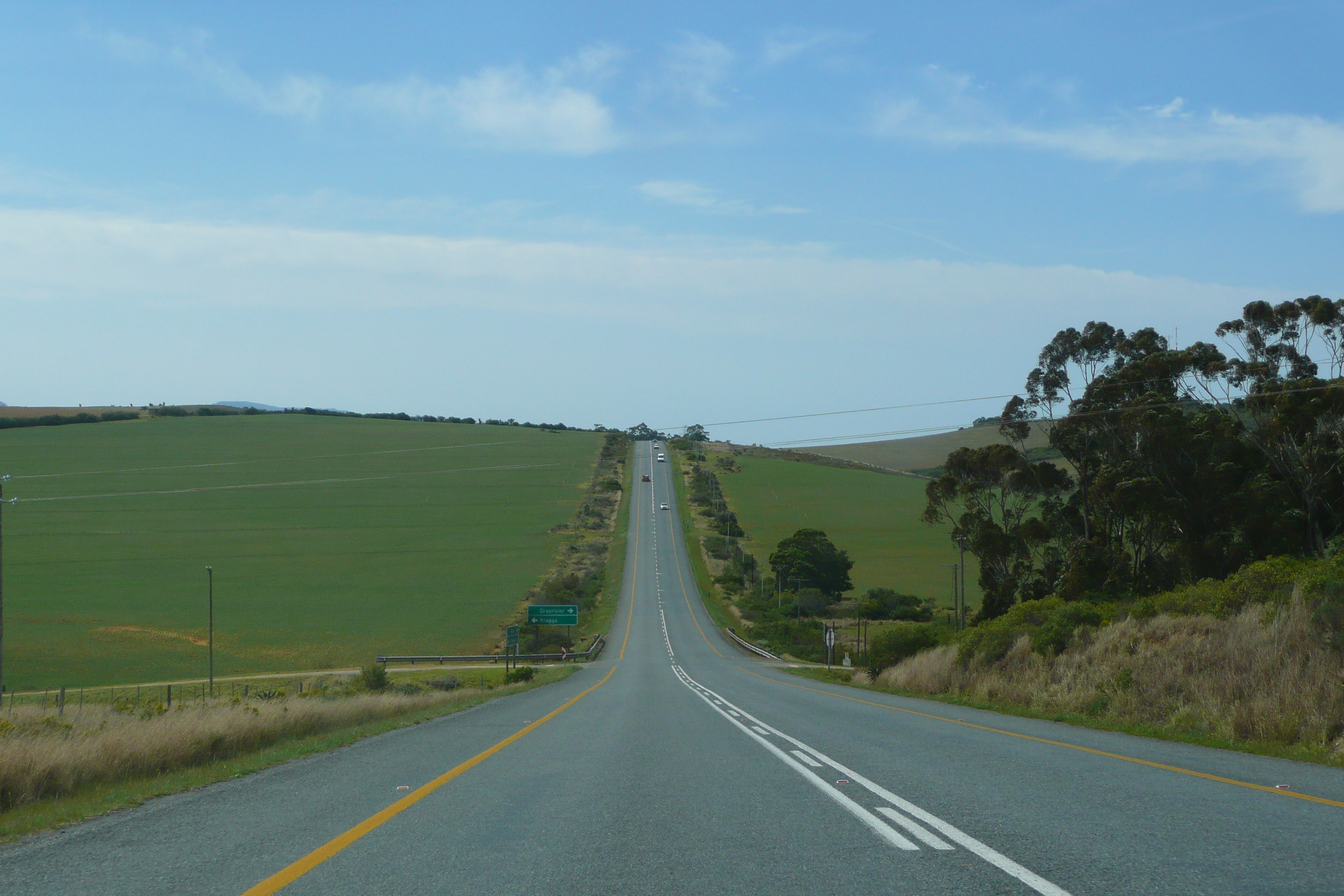 รูปถ่าย แอฟริกาใต้(South Africa) ถนนจากเฮอร์มานัสไปไนส์นา(Harmanus to Knysna road) 2008-09 82