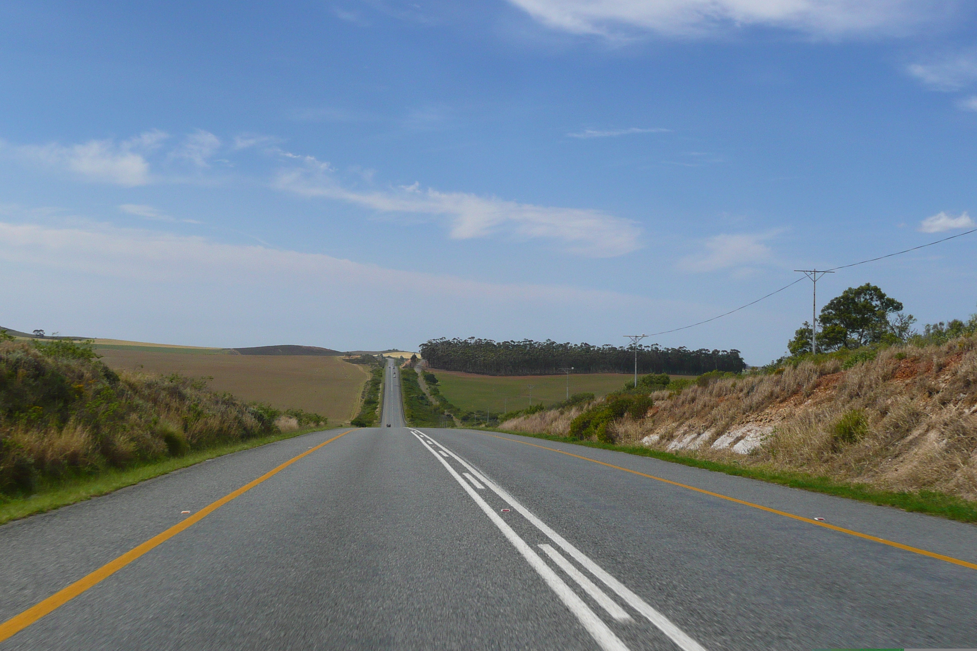 รูปถ่าย แอฟริกาใต้(South Africa) ถนนจากเฮอร์มานัสไปไนส์นา(Harmanus to Knysna road) 2008-09 103