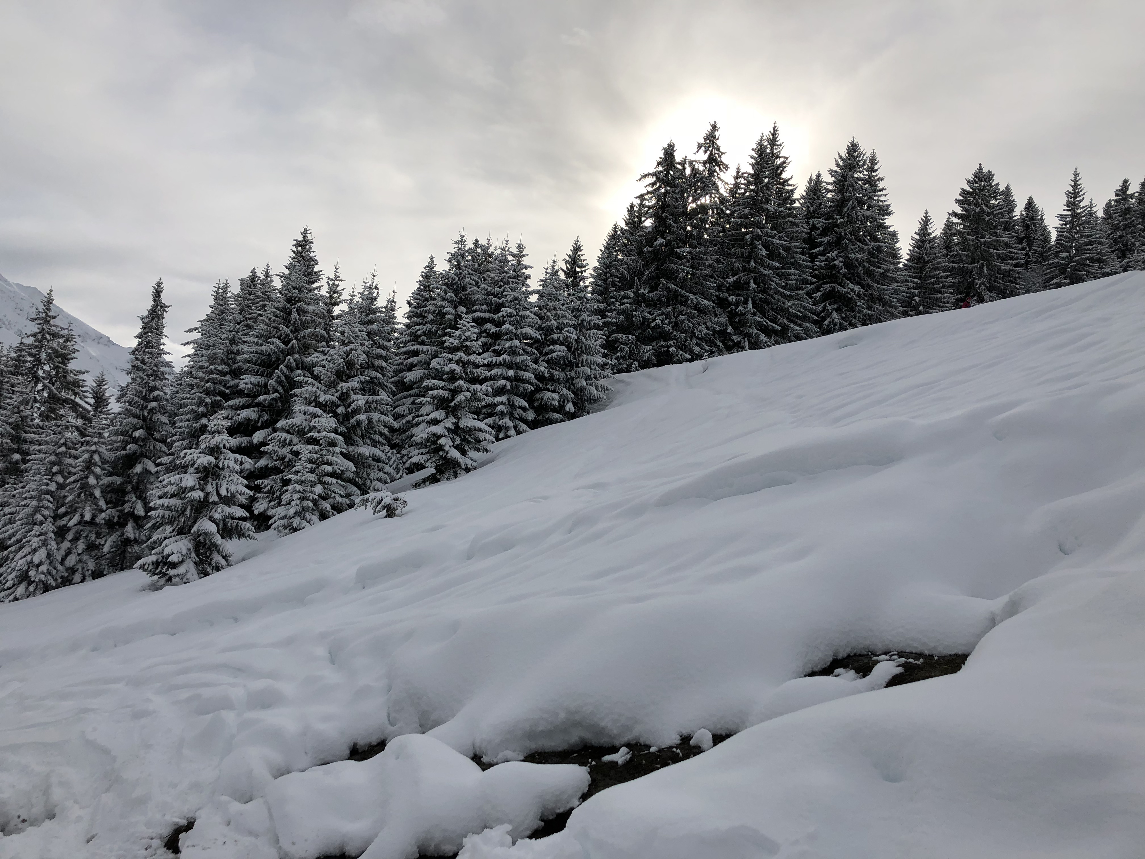 รูปถ่าย ฝรั่งเศส(France) ลากลูซา(La Clusaz) 2017-12 264