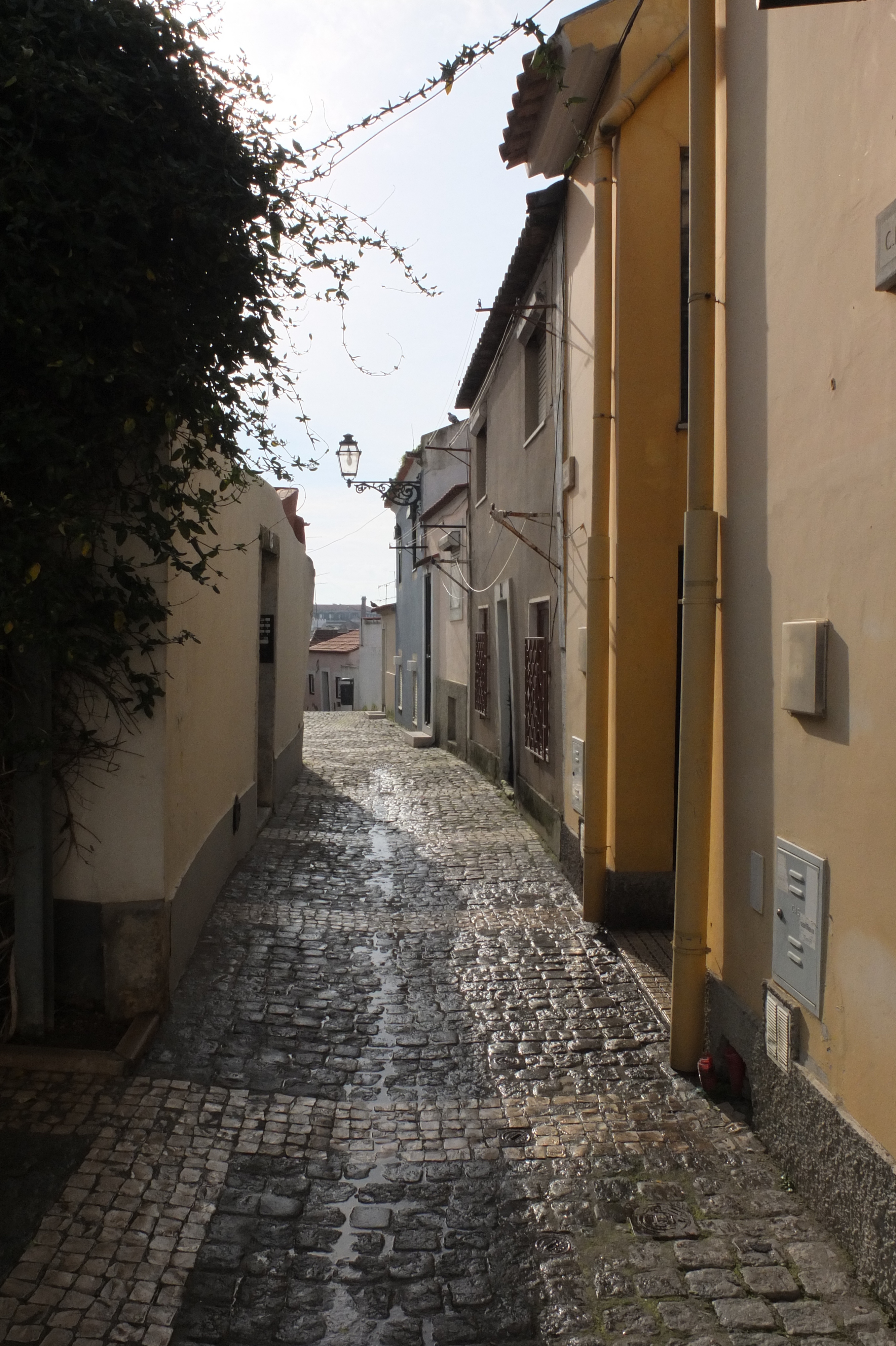 รูปถ่าย โปรตุเกส(Portugal) ลิสบอน(Lisbon) 2013-01 339