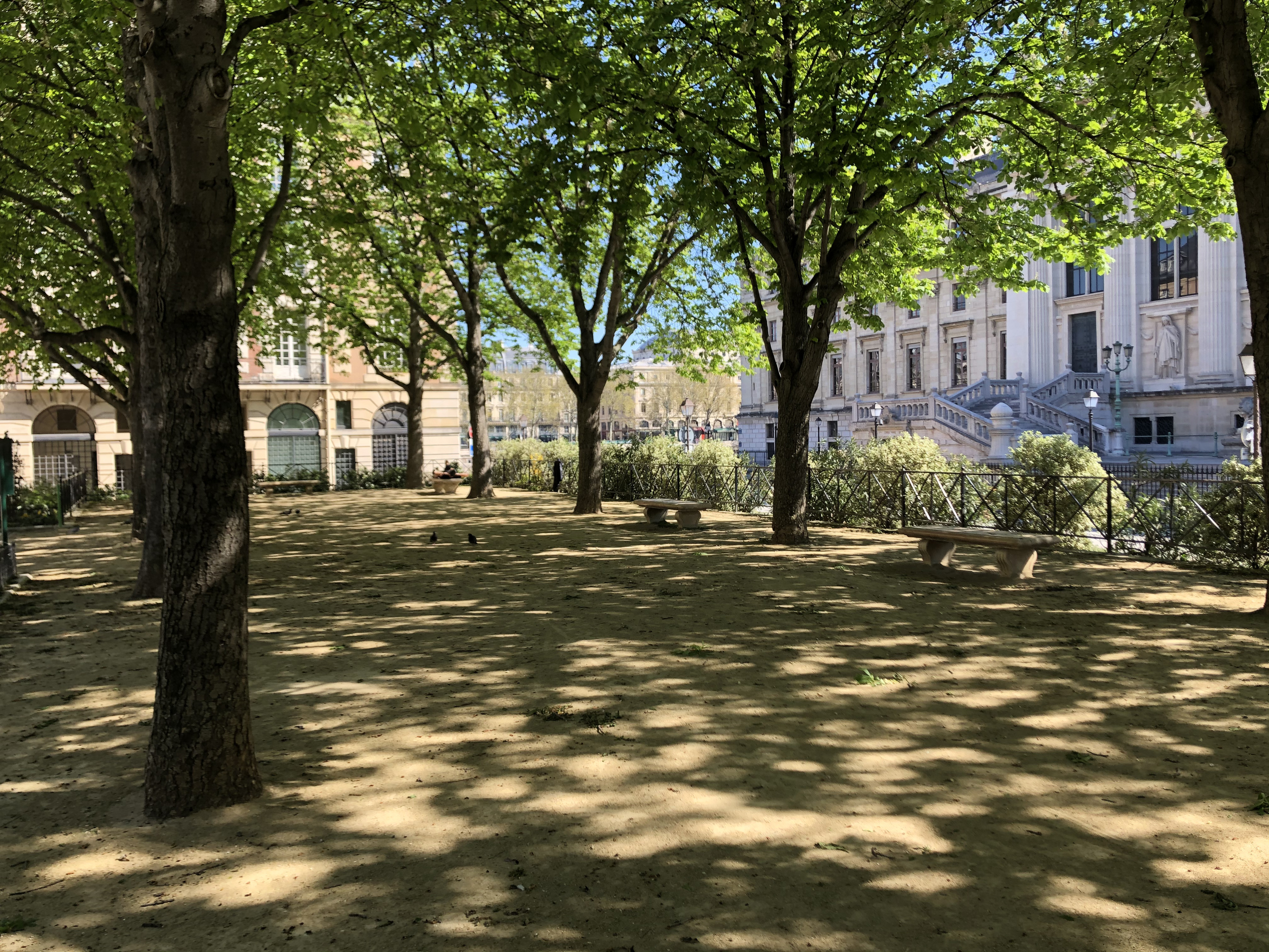 รูปถ่าย ฝรั่งเศส(France) ปารีสช่วงล็อกดาวน์(Paris lockdown) 2020-04 71