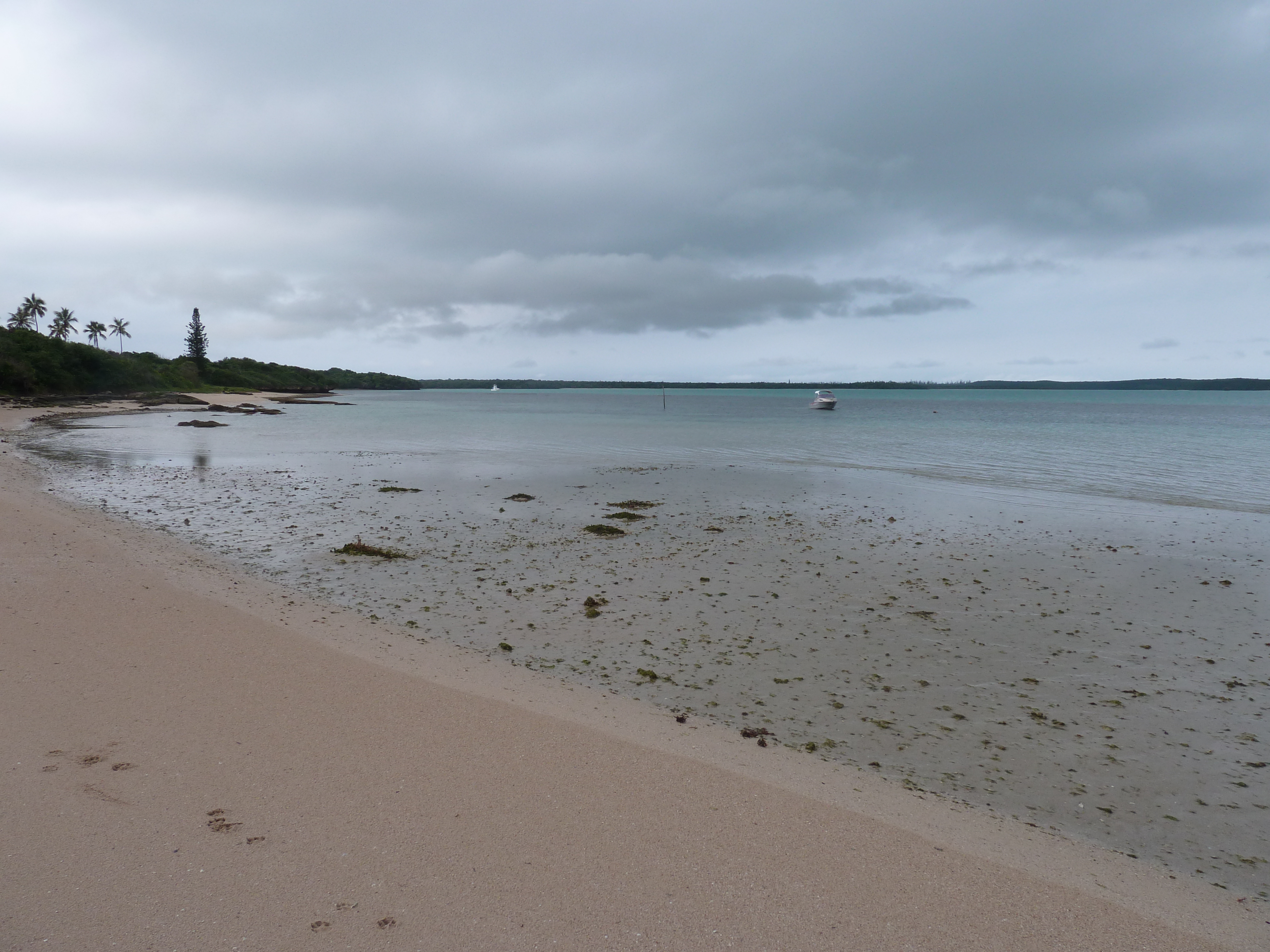 รูปถ่าย นิวแคลิโดเนีย(New Caledonia) เกาะต้นสน(Ile des pins) 2010-05 35