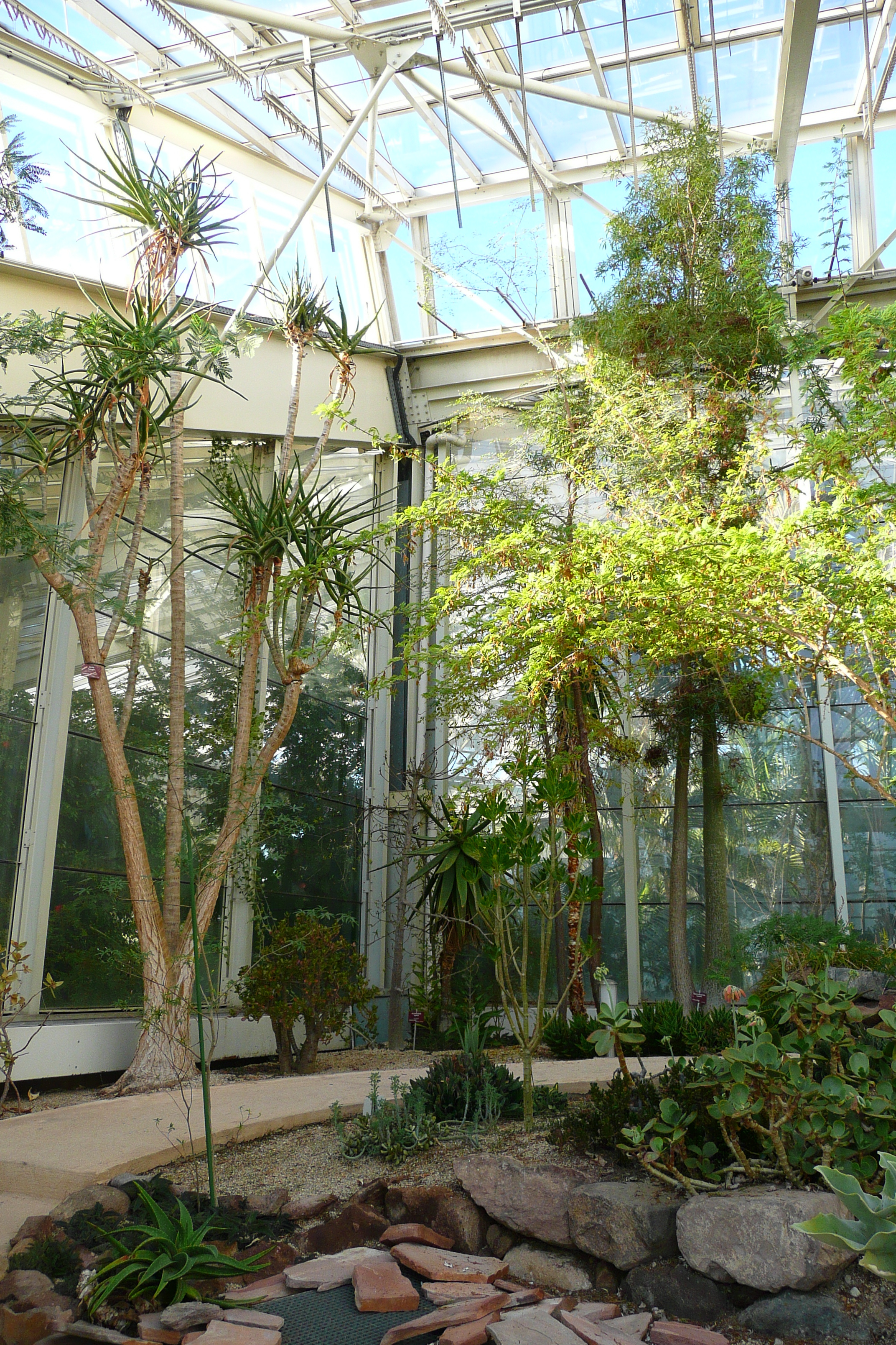 รูปถ่าย ฝรั่งเศส(France) นีส(Nice) สวนฟีนิกซ์(Phoenix Parc) 2007-10 2
