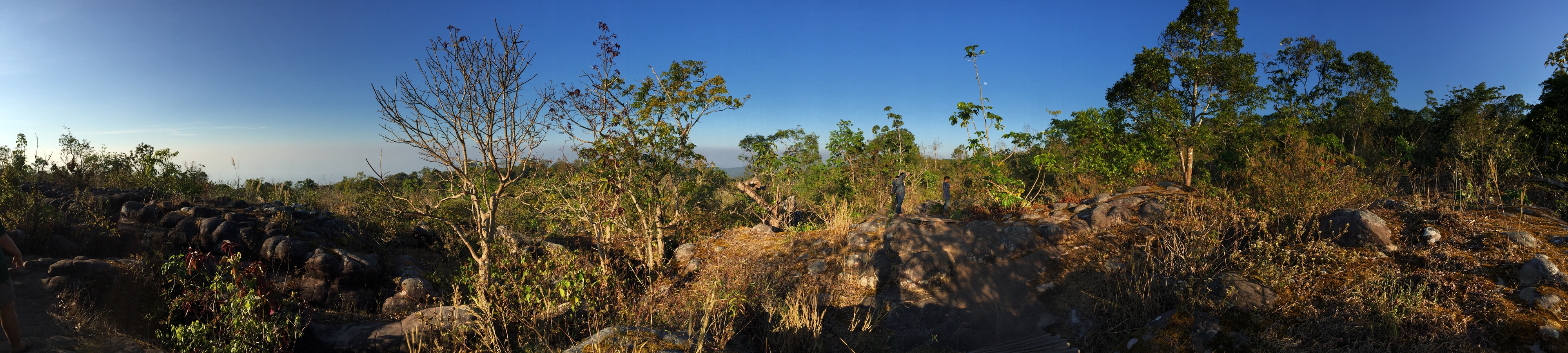 รูปถ่าย ไทย(Thailand) อุทยานแห่งชาติภูหินร่องกล้า(Phu Hin Rong Kla National Park) 2014-12 17