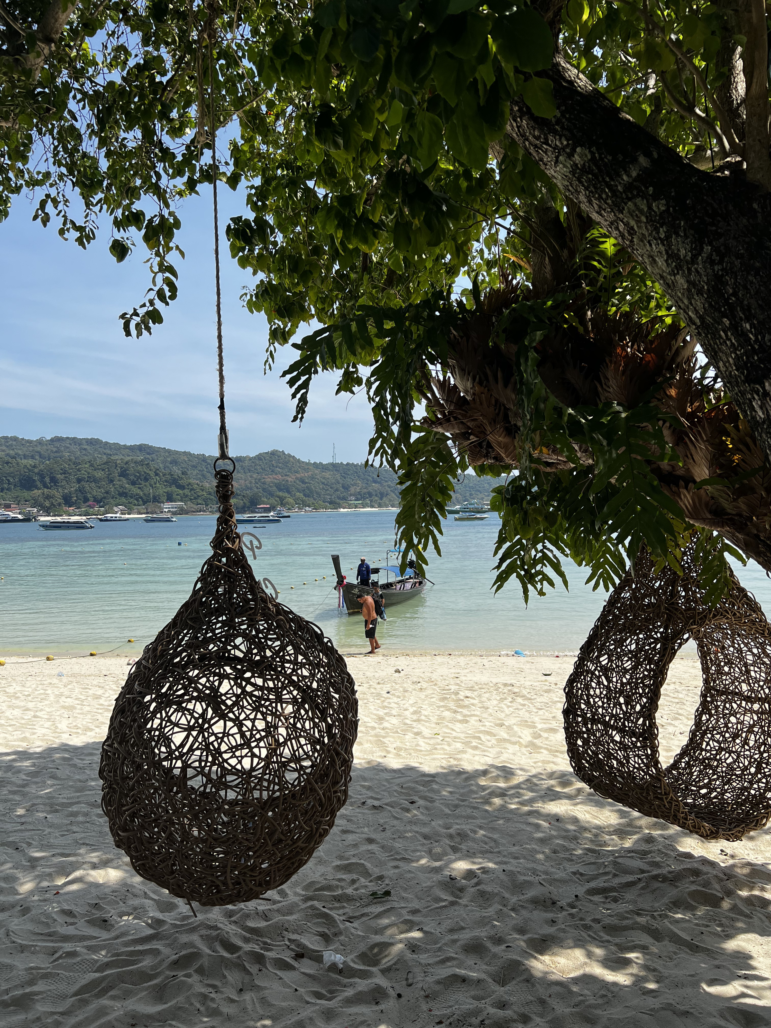รูปถ่าย ไทย(Thailand) เกาะพีพีดอน(Ko Phi Phi Don) 2021-12 81