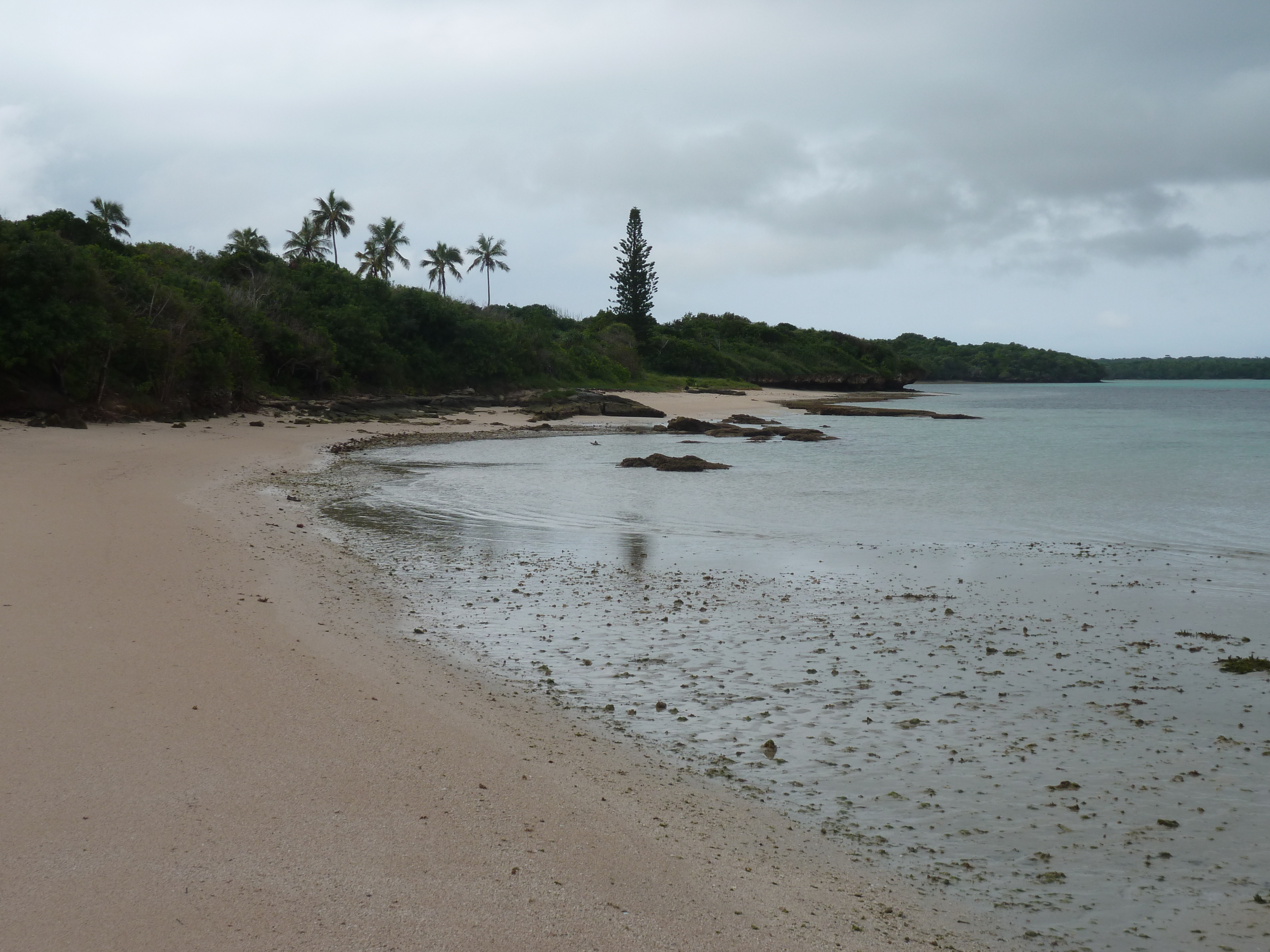 รูปถ่าย นิวแคลิโดเนีย(New Caledonia) เกาะต้นสน(Ile des pins) 2010-05 11