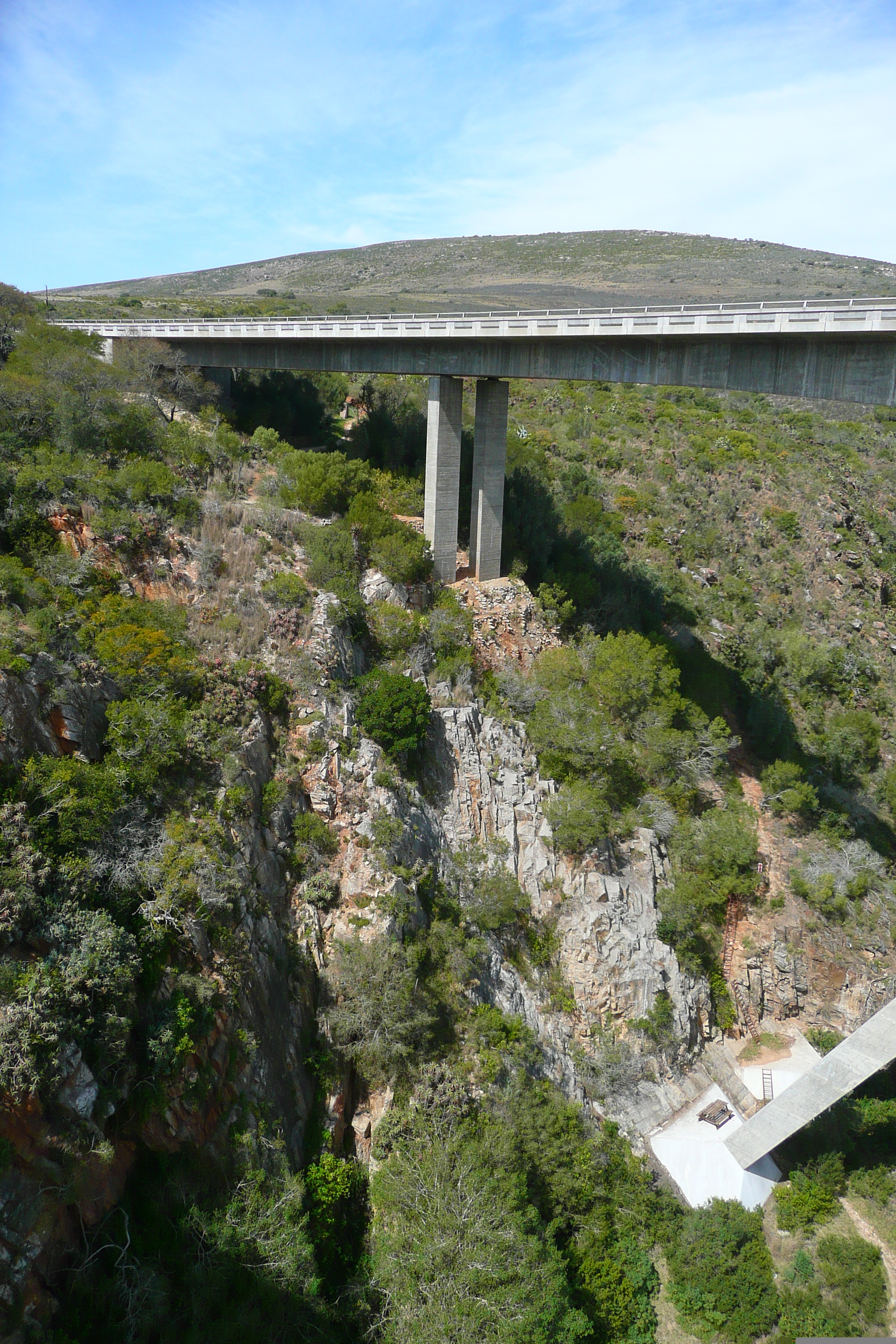 รูปถ่าย แอฟริกาใต้(South Africa) ถนนจากเฮอร์มานัสไปไนส์นา(Harmanus to Knysna road) 2008-09 68